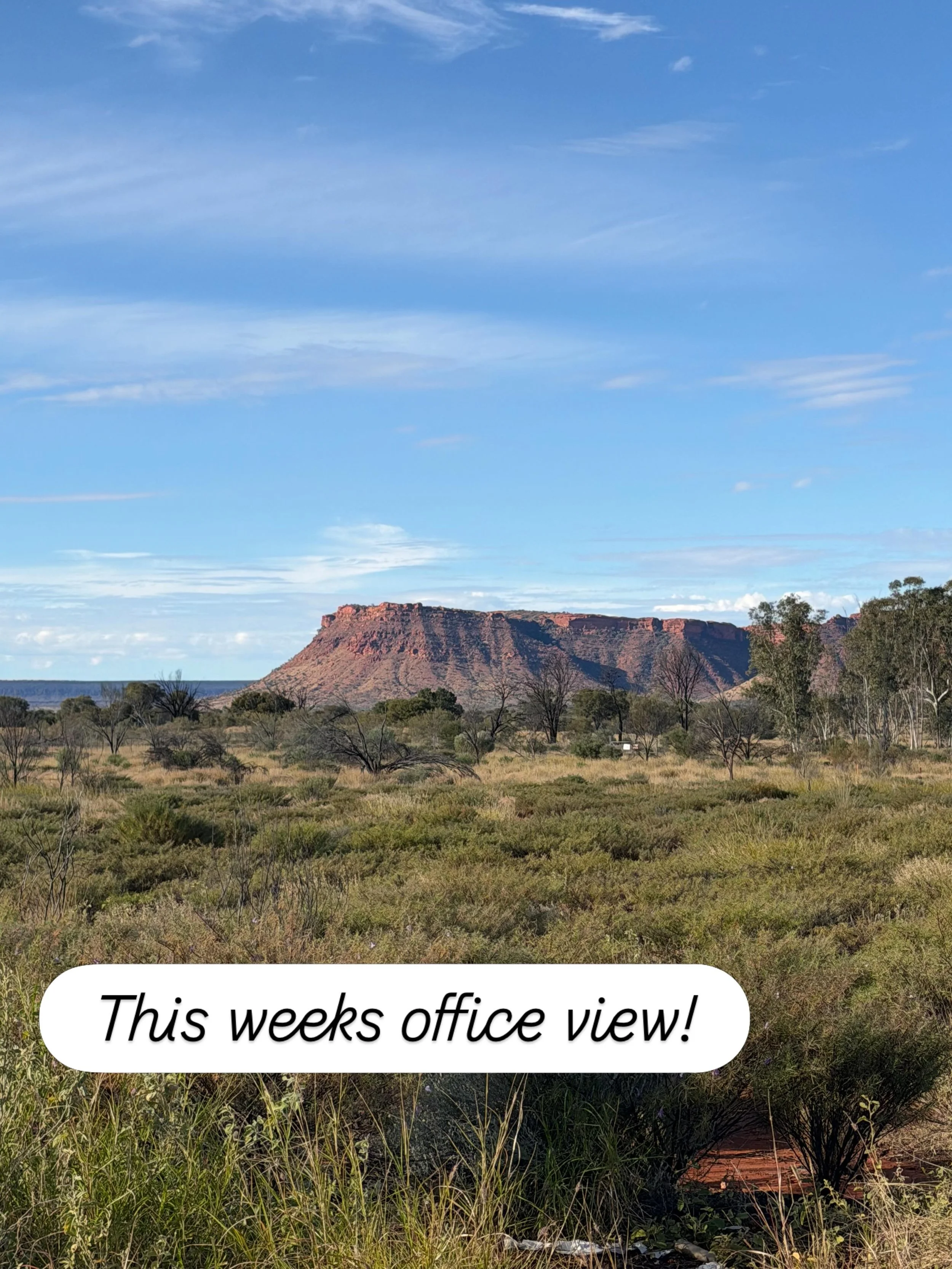 This weeks office view is 📍 Kings Canyon! And what a view it is!!