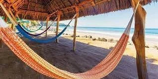 mdj-hammock.jpeg