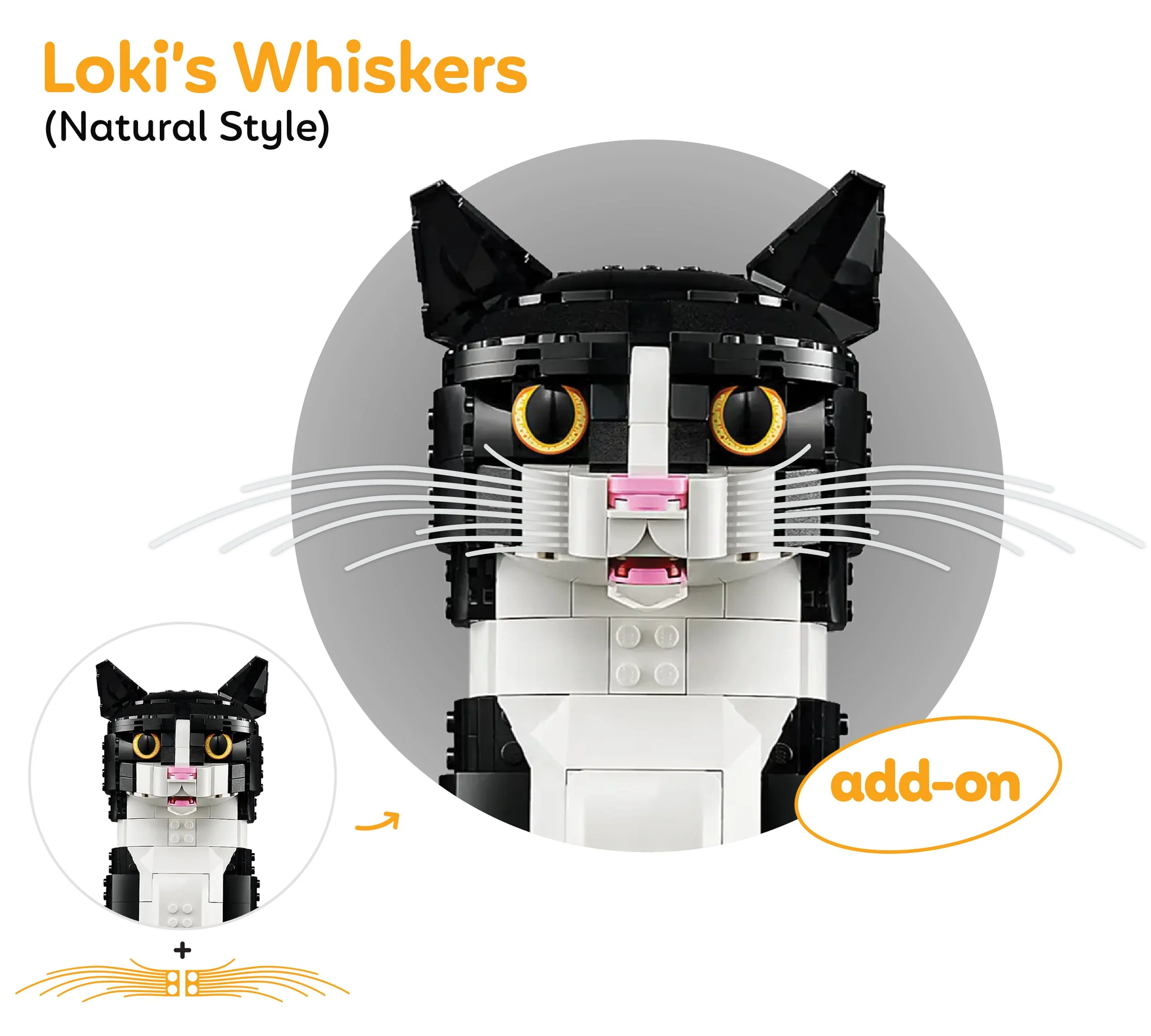 LokiWhiskers comparision 2 copy 20-100 2.jpg