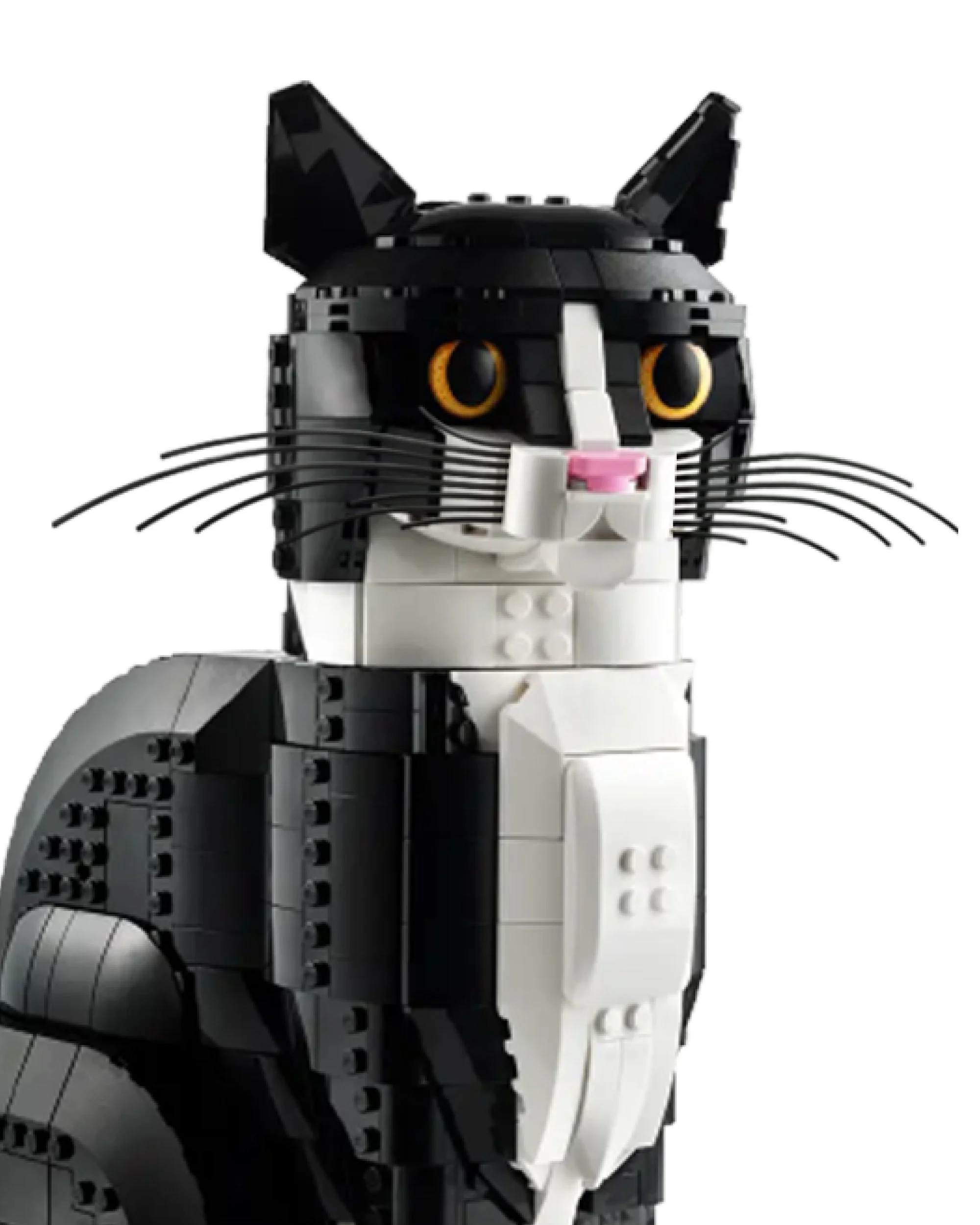LokiWhiskers natural black.jpg