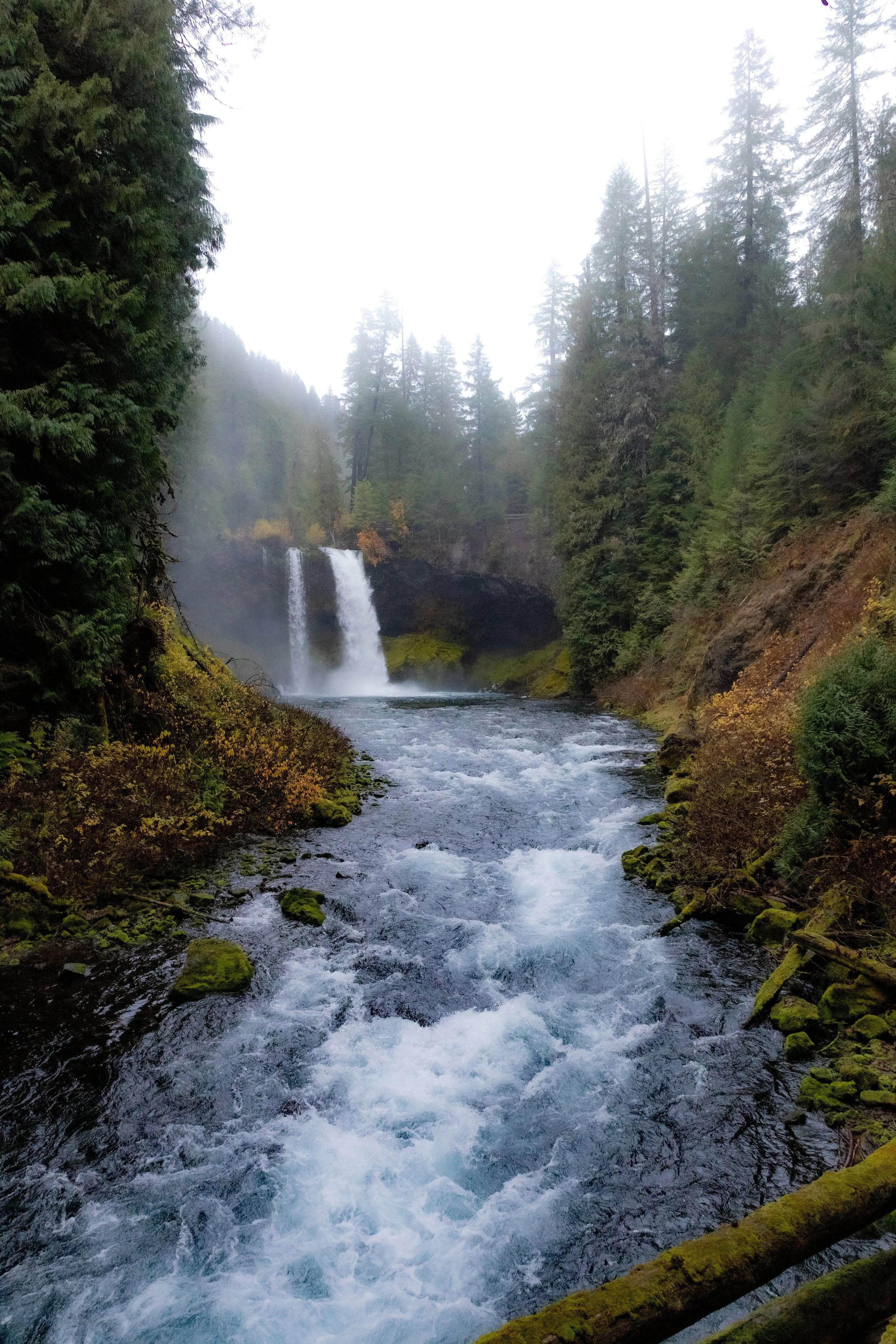 Photo Nov 03 2024, 10 05 14 AM (1).jpg