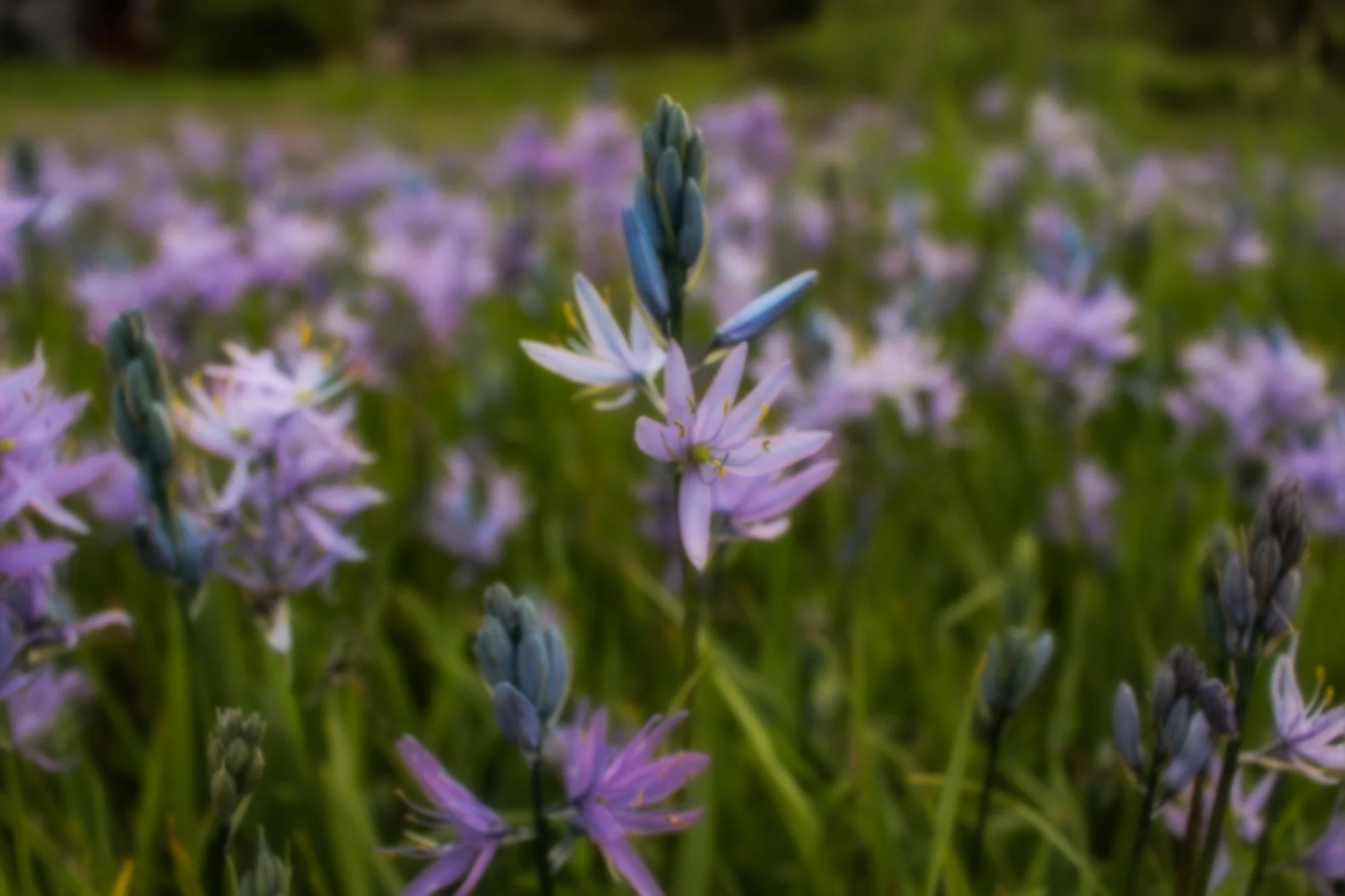 Photo May 02 2024, 7 40 35 AM.jpg