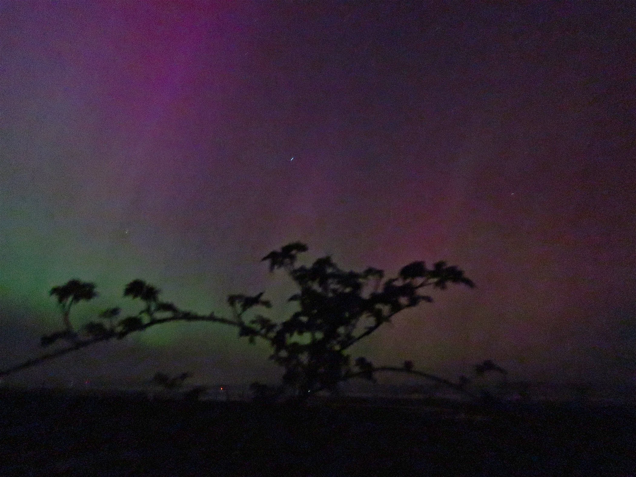 Aurora_2688 copy.jpg