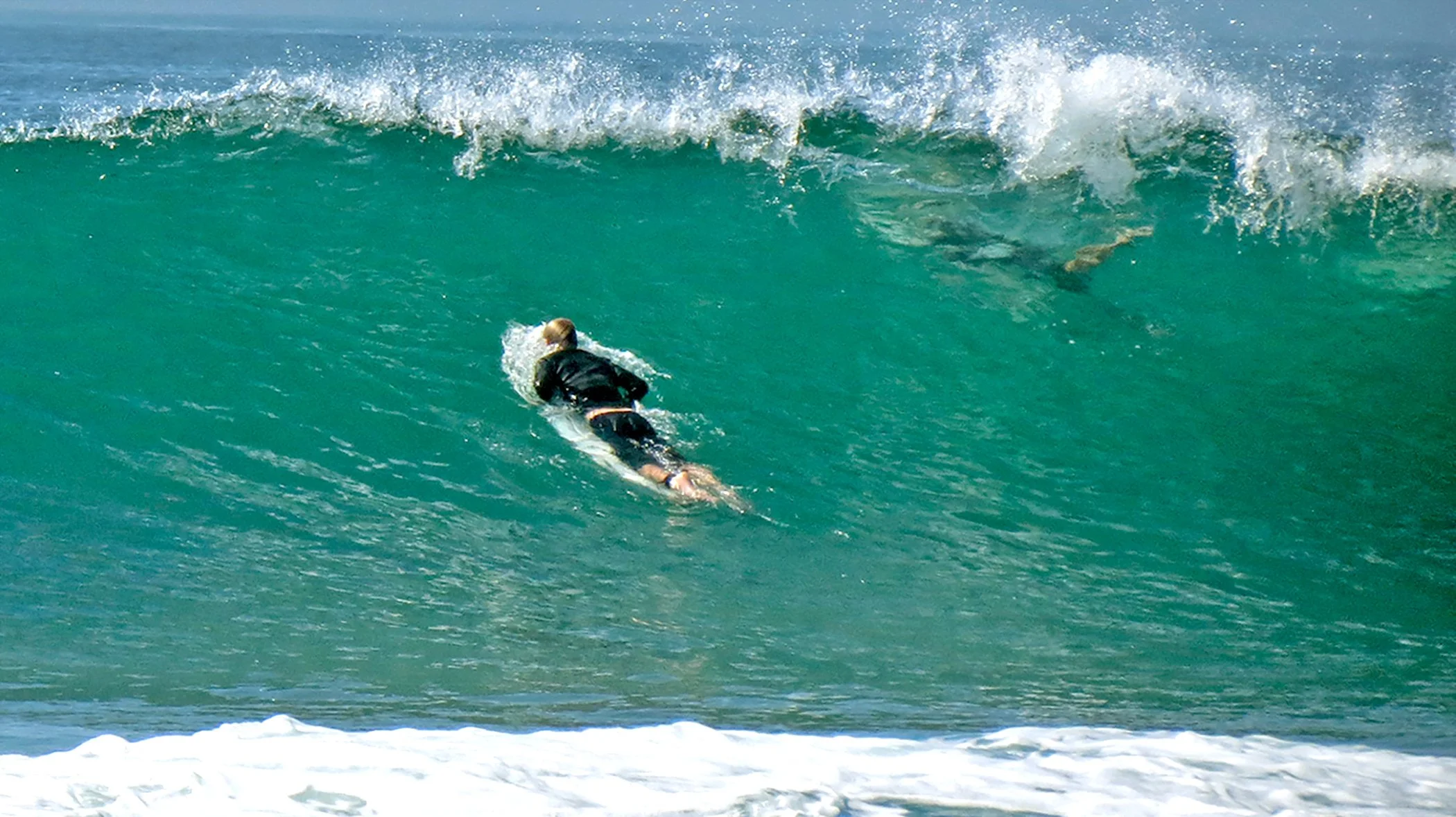 Surfer_1153 crop.jpg
