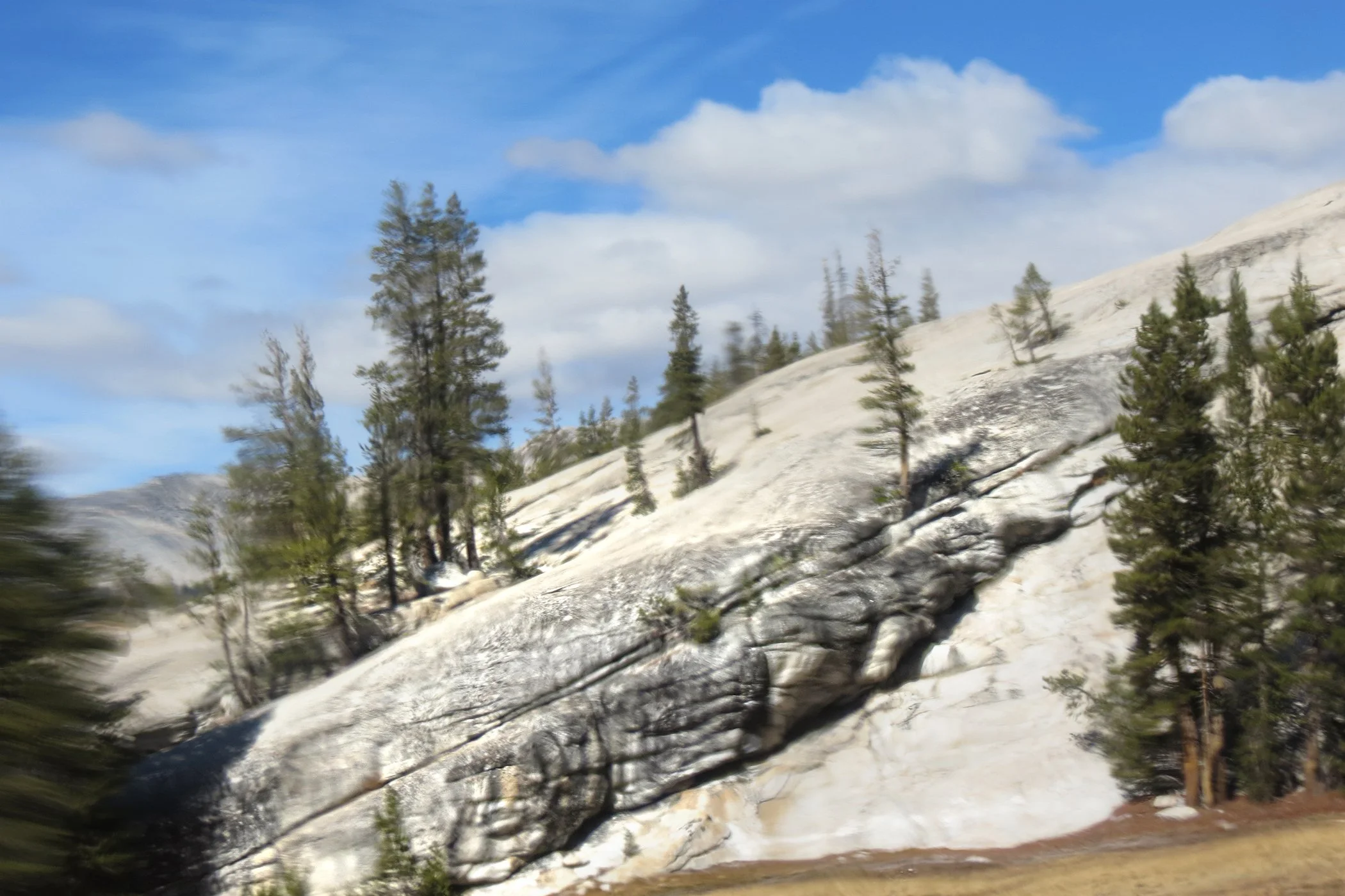 Distorted_5480 copy.jpg