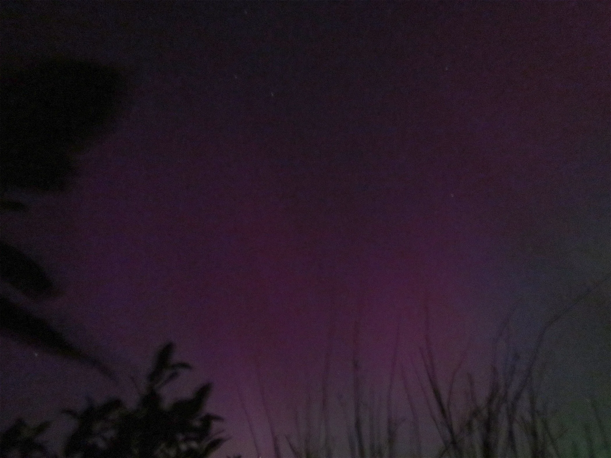 Aurora_2724 copy.jpg