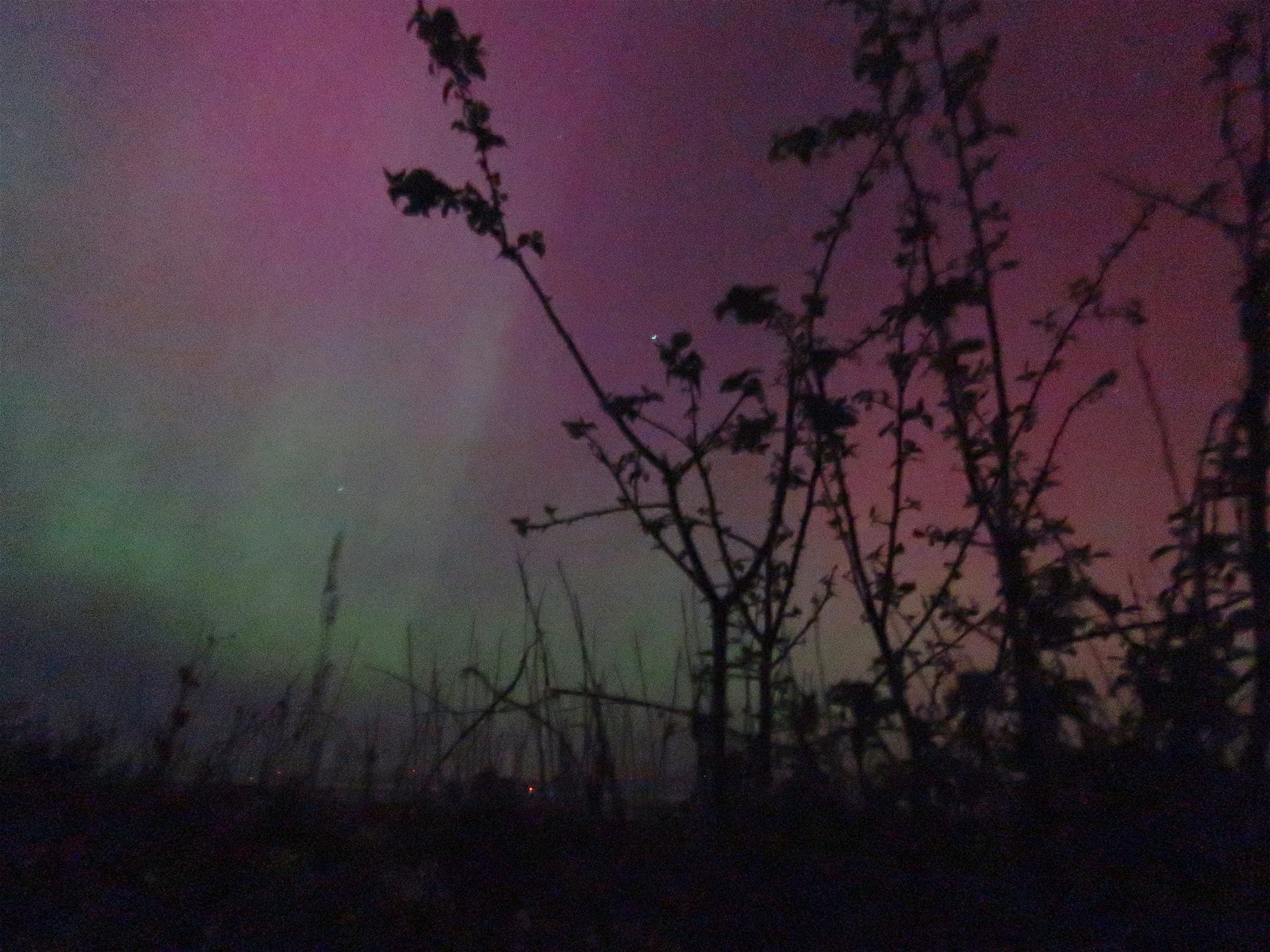 Aurora_2678 copy.jpg