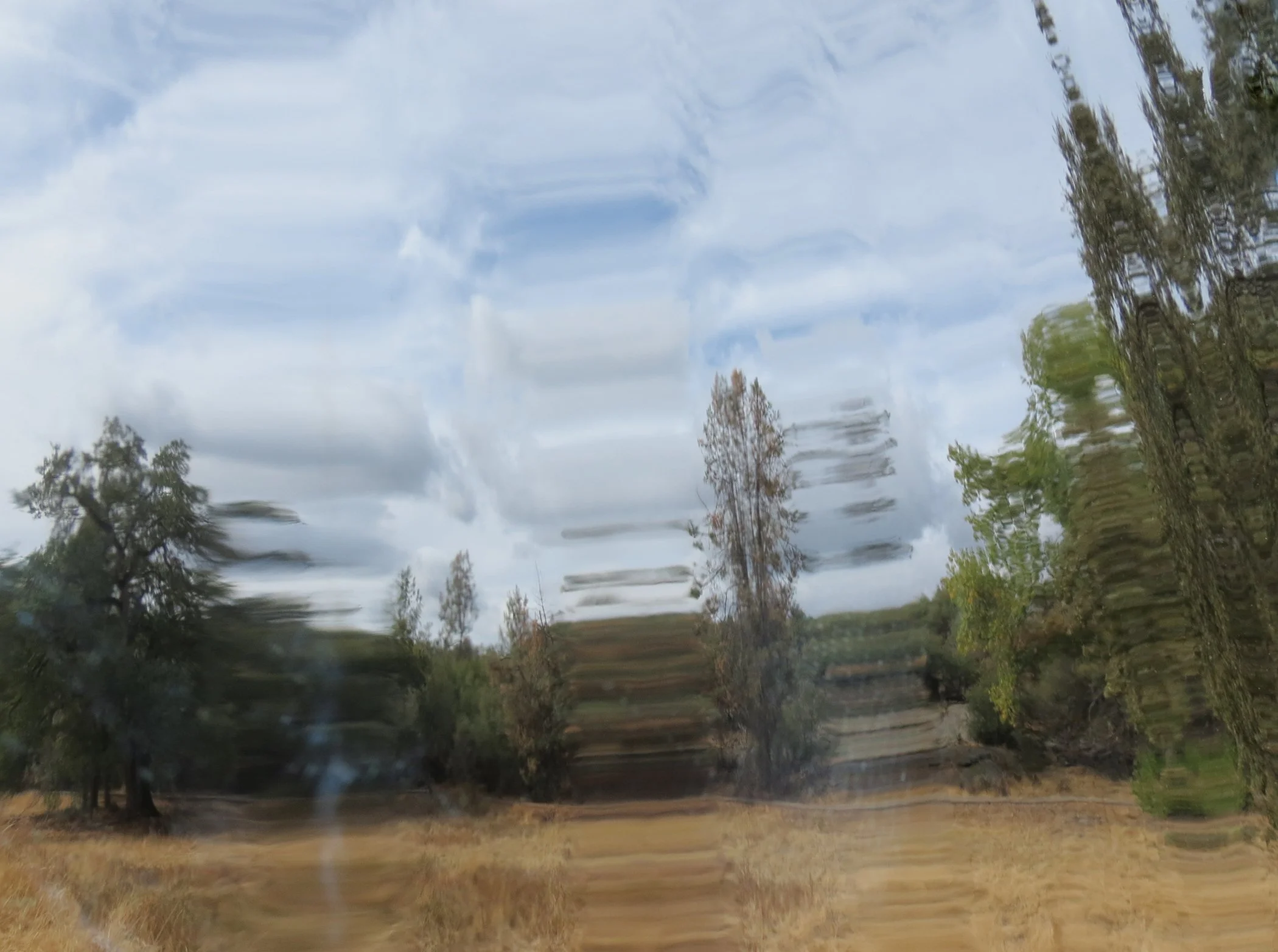 Distorted_7199 copy.jpg