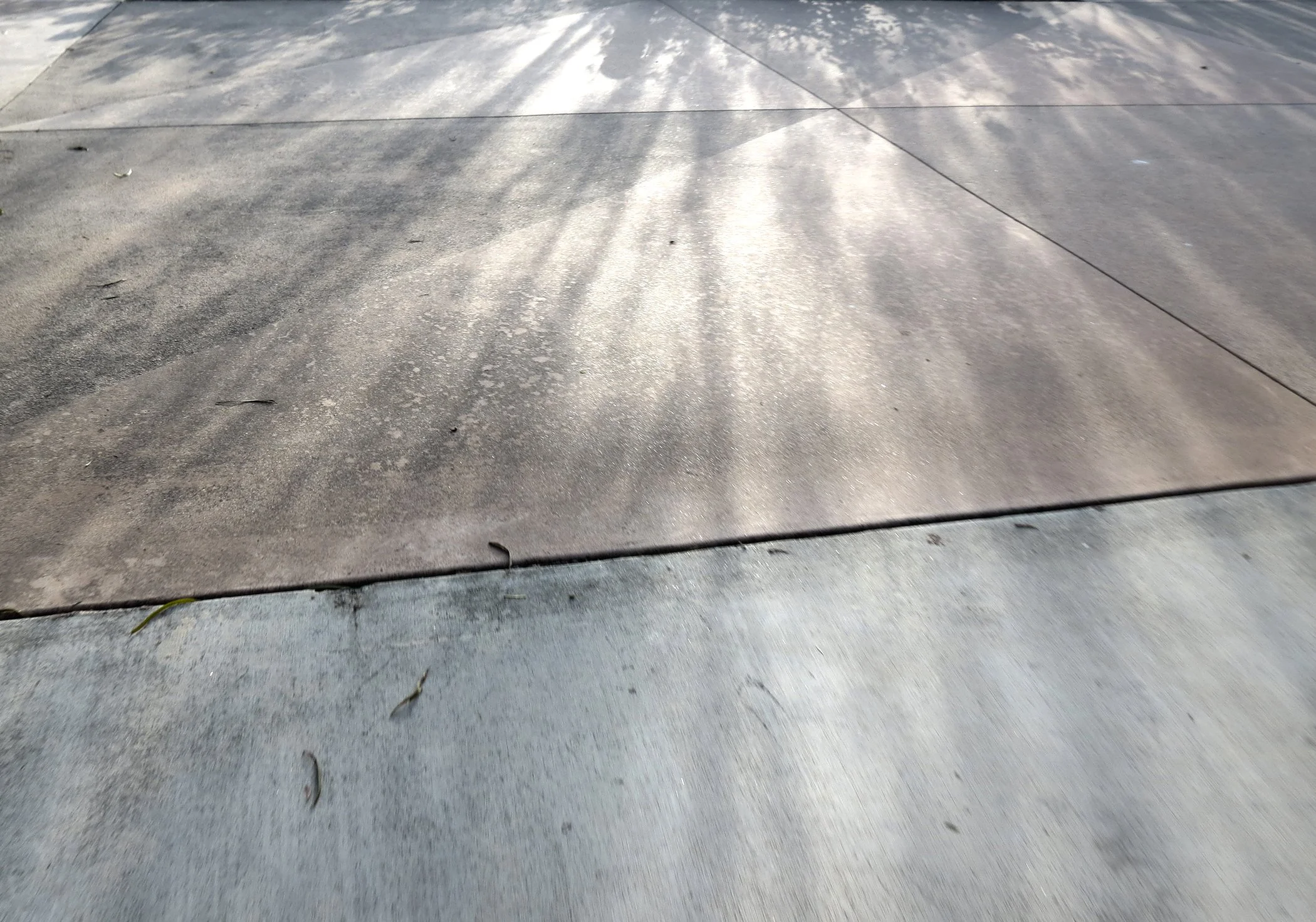 Solar Eclipse_4181 copy.jpg