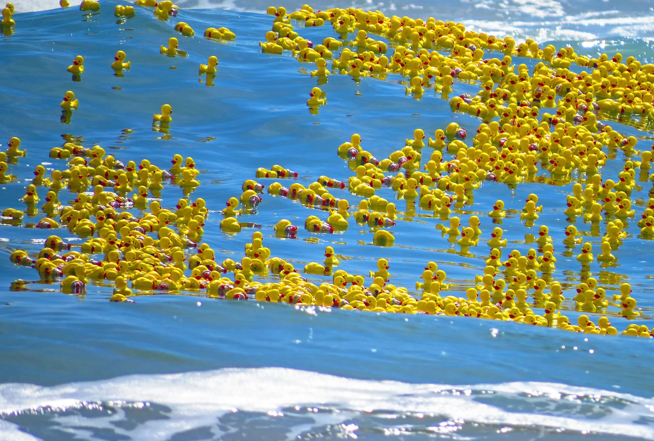 Duckathon_9368 copy.jpg