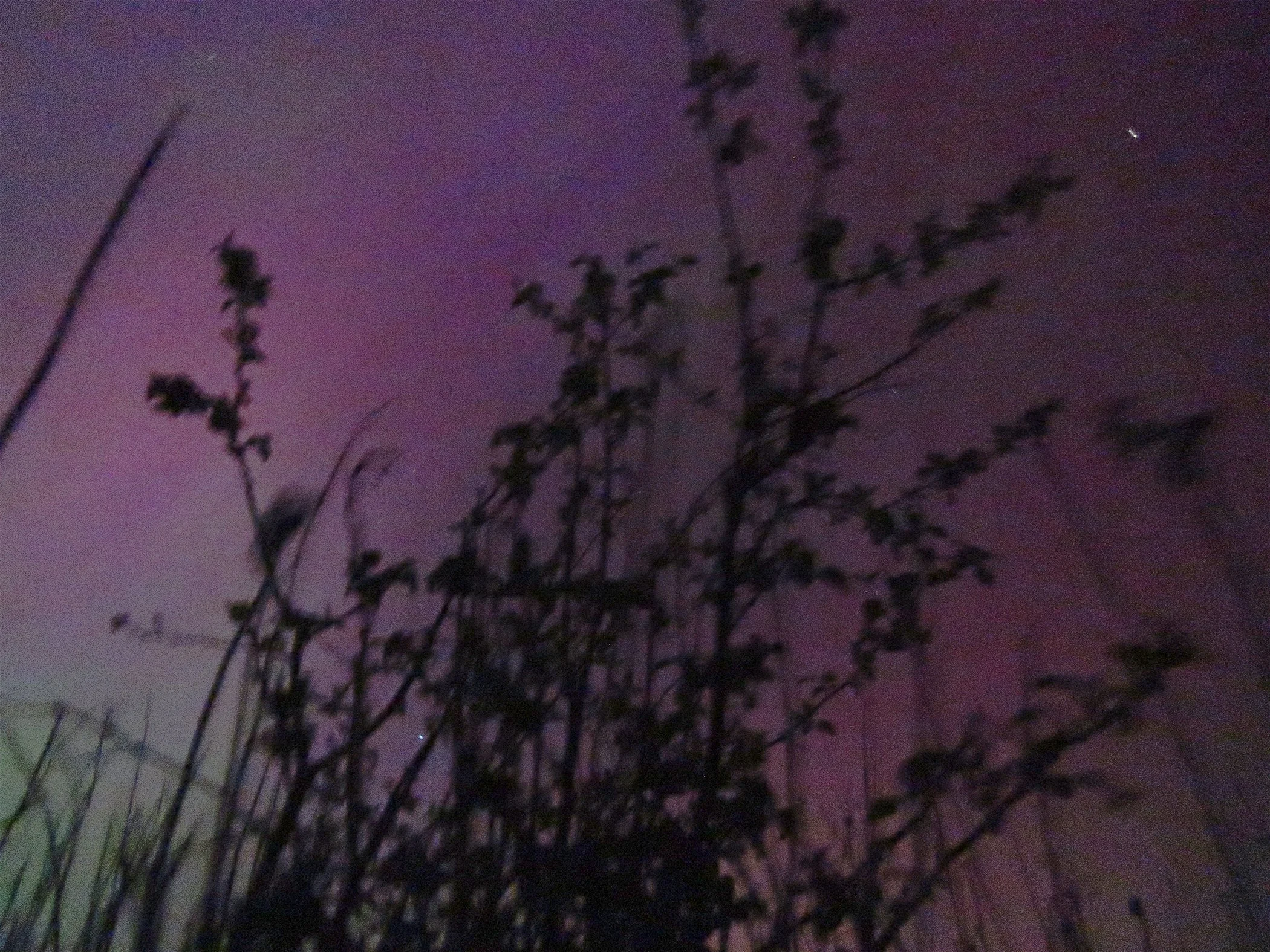 Aurora_2676 copy.jpg