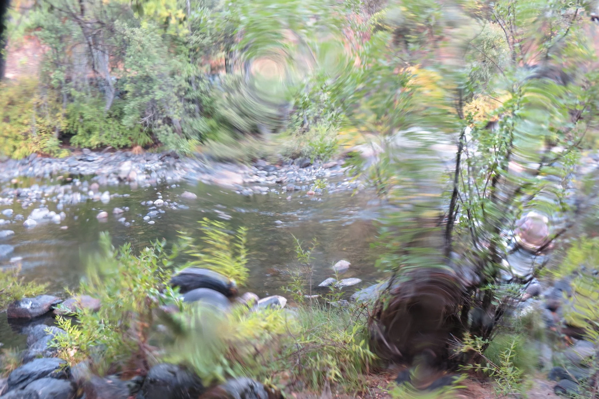 Distorted _6250 copy.jpg