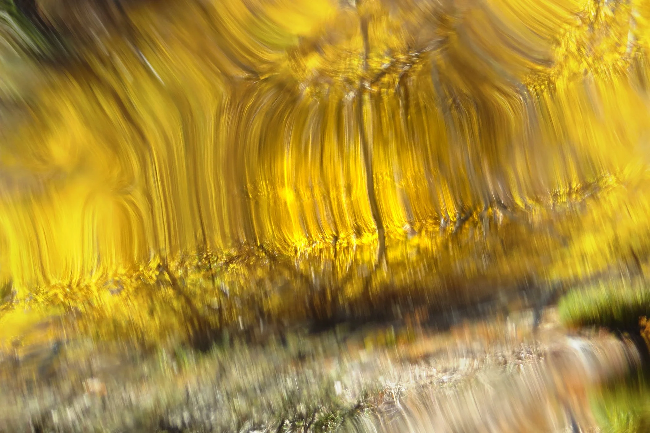 Distorted_4730 copy.jpg