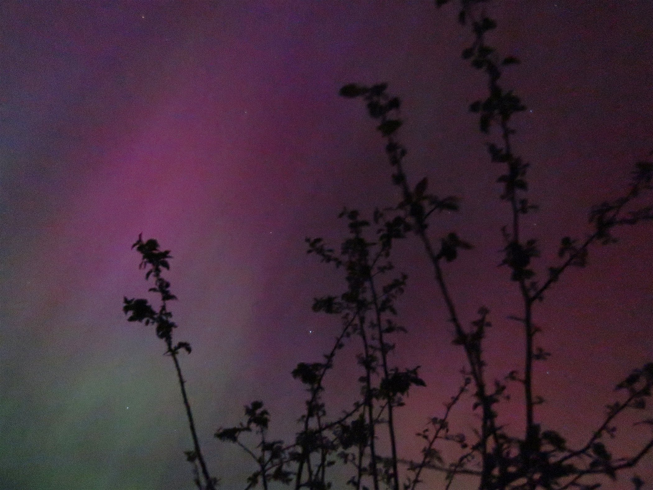 Aurora_2675 copy.jpg