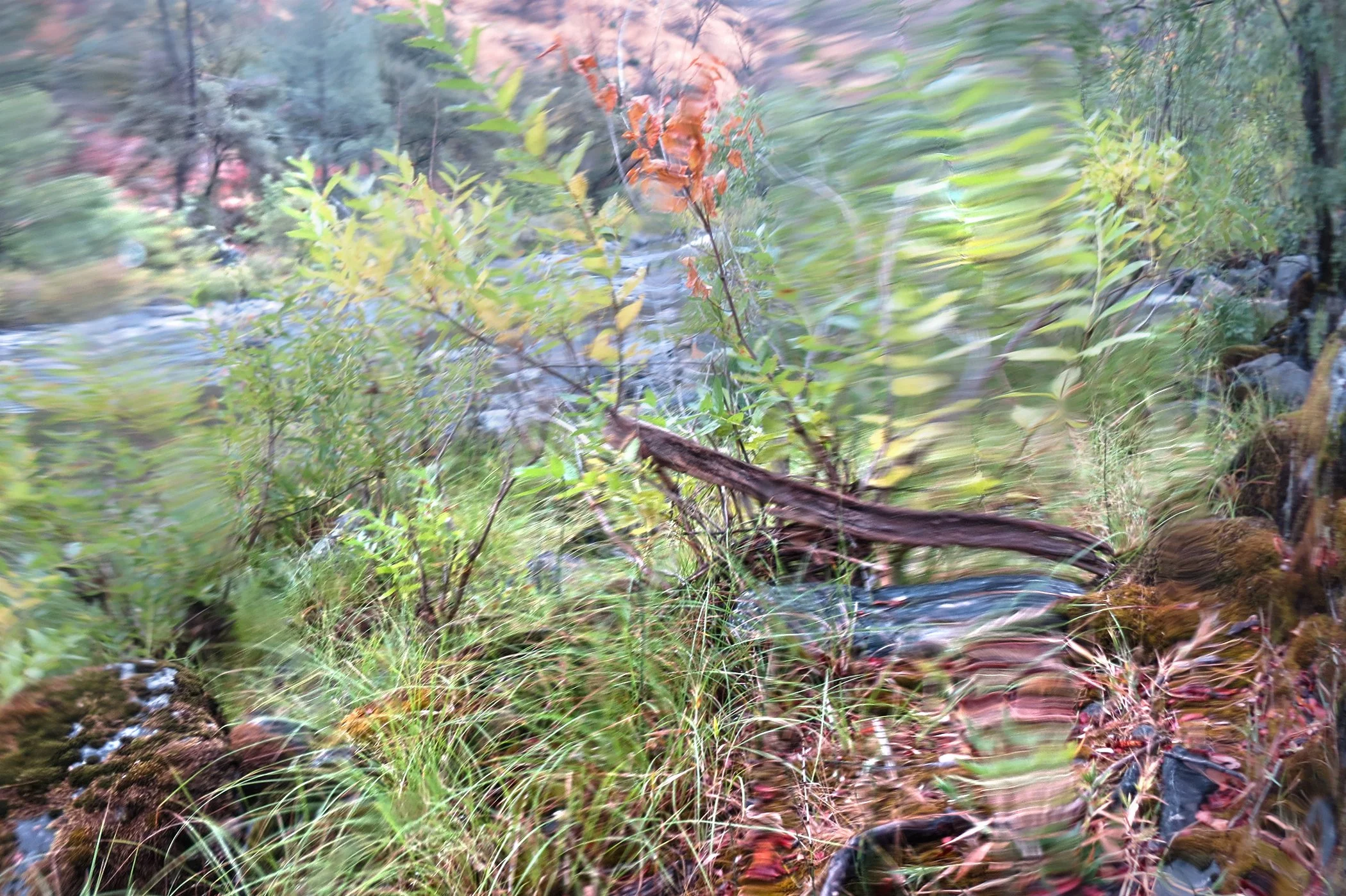 Distorted_6202 copy.jpg