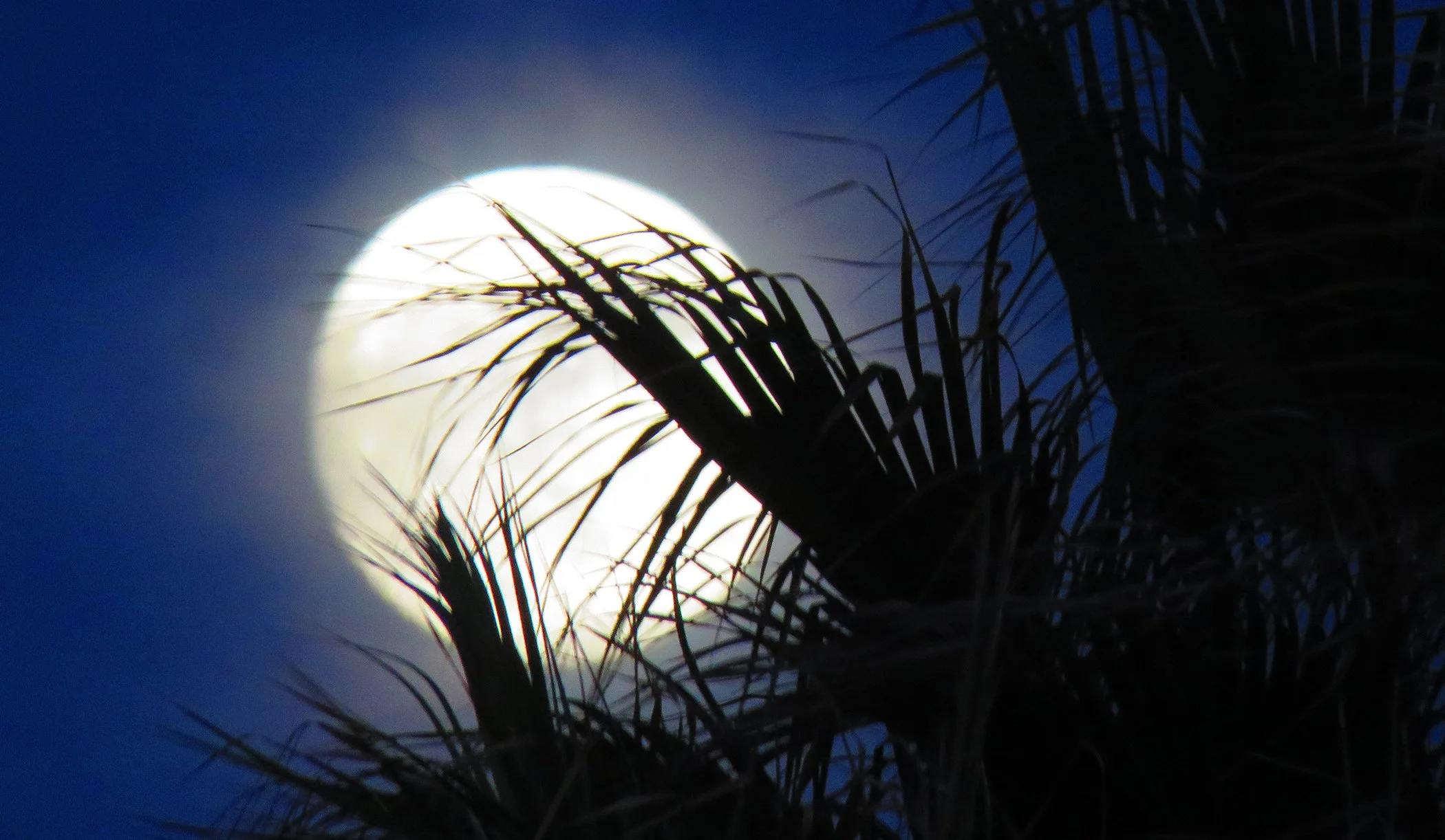 Zen Moon_0669 copy.jpg