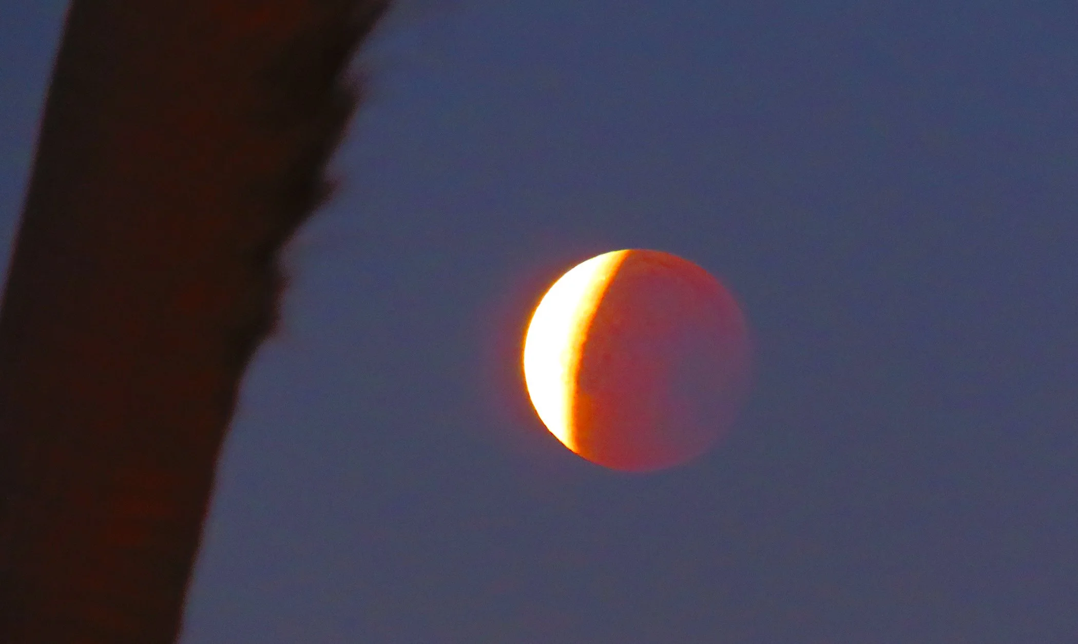 Blood Moon_9861 copy.jpg