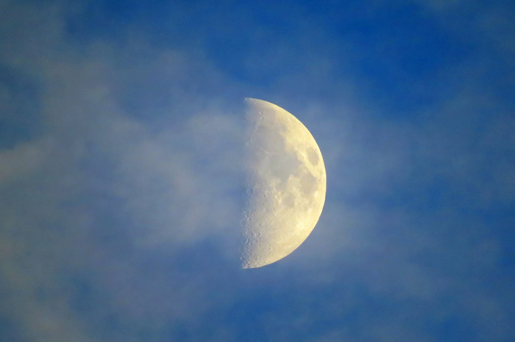 Zen Moon_5514 copy.jpg