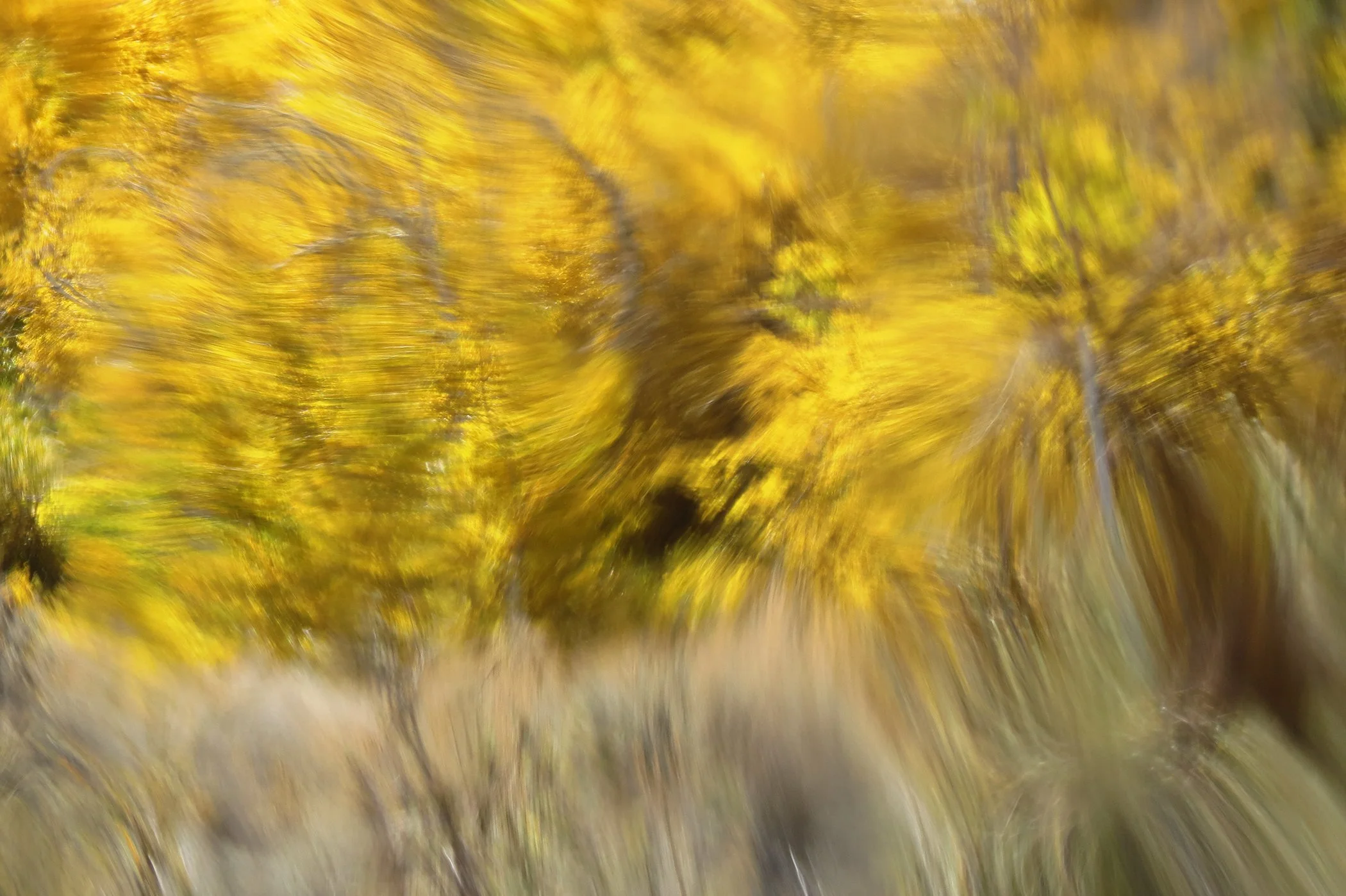 Distorted_4721 copy.jpg