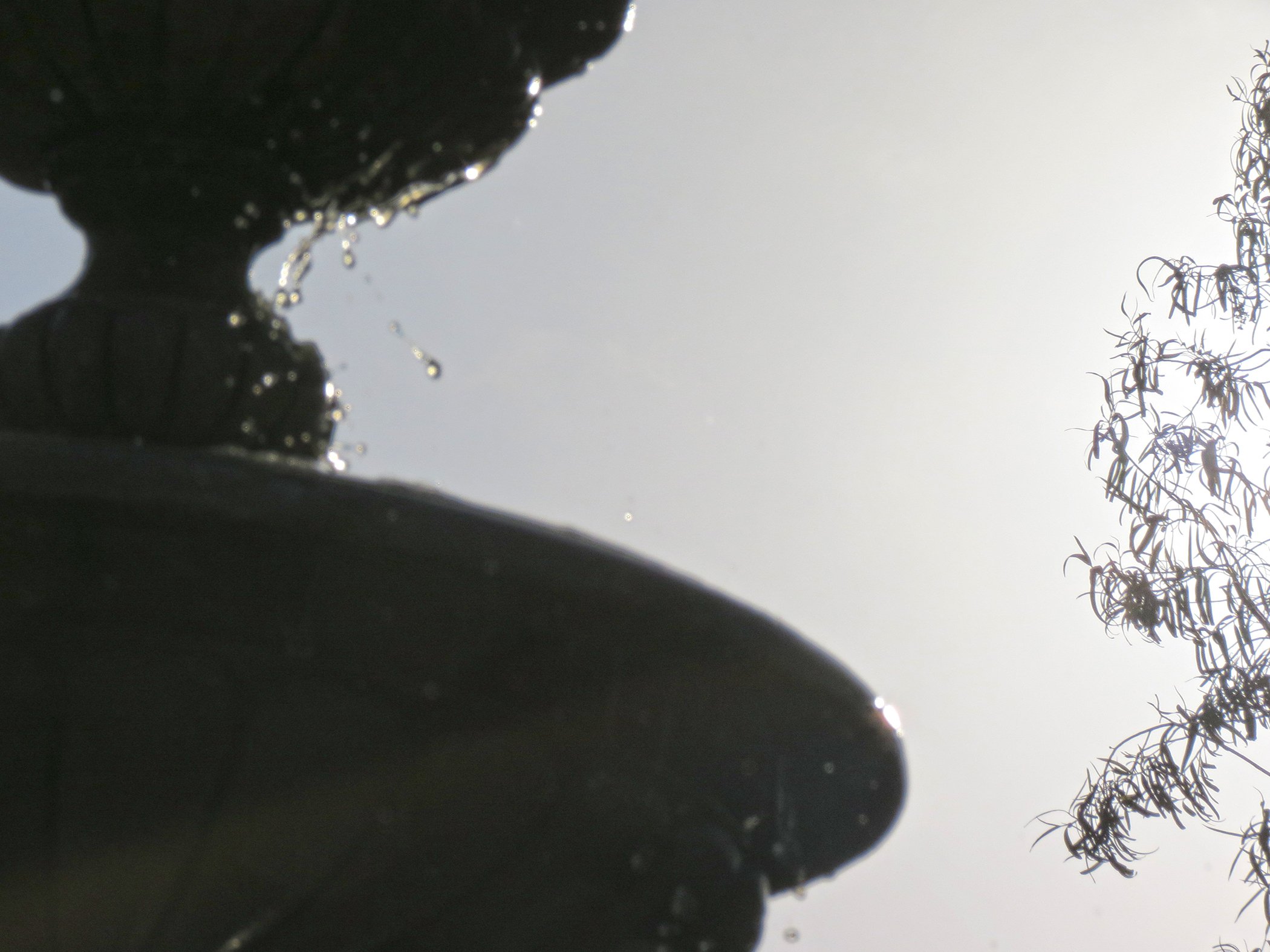 Solar Eclipse_4164 copy.jpg