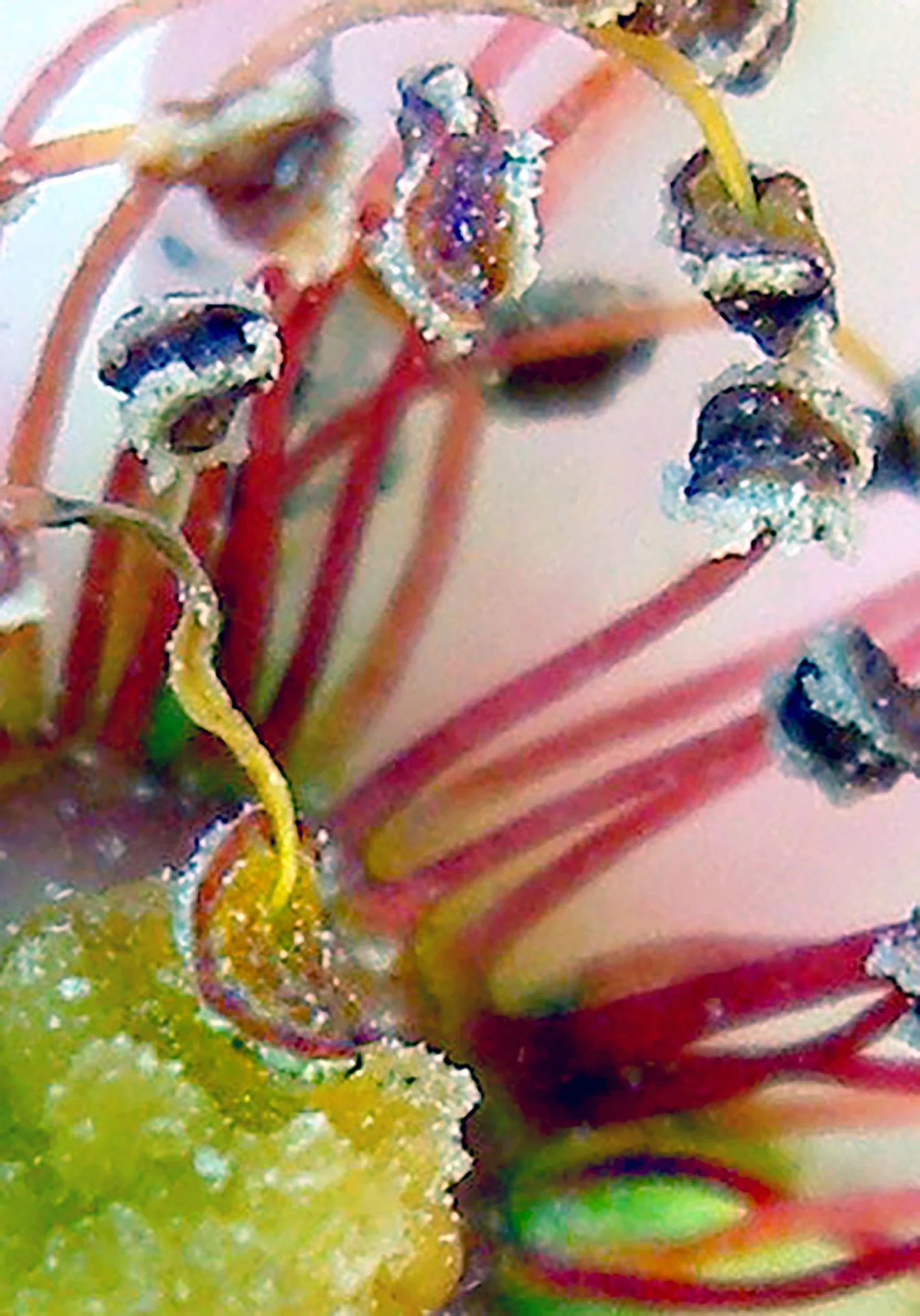 rose nterior 4298 copy 2.jpg