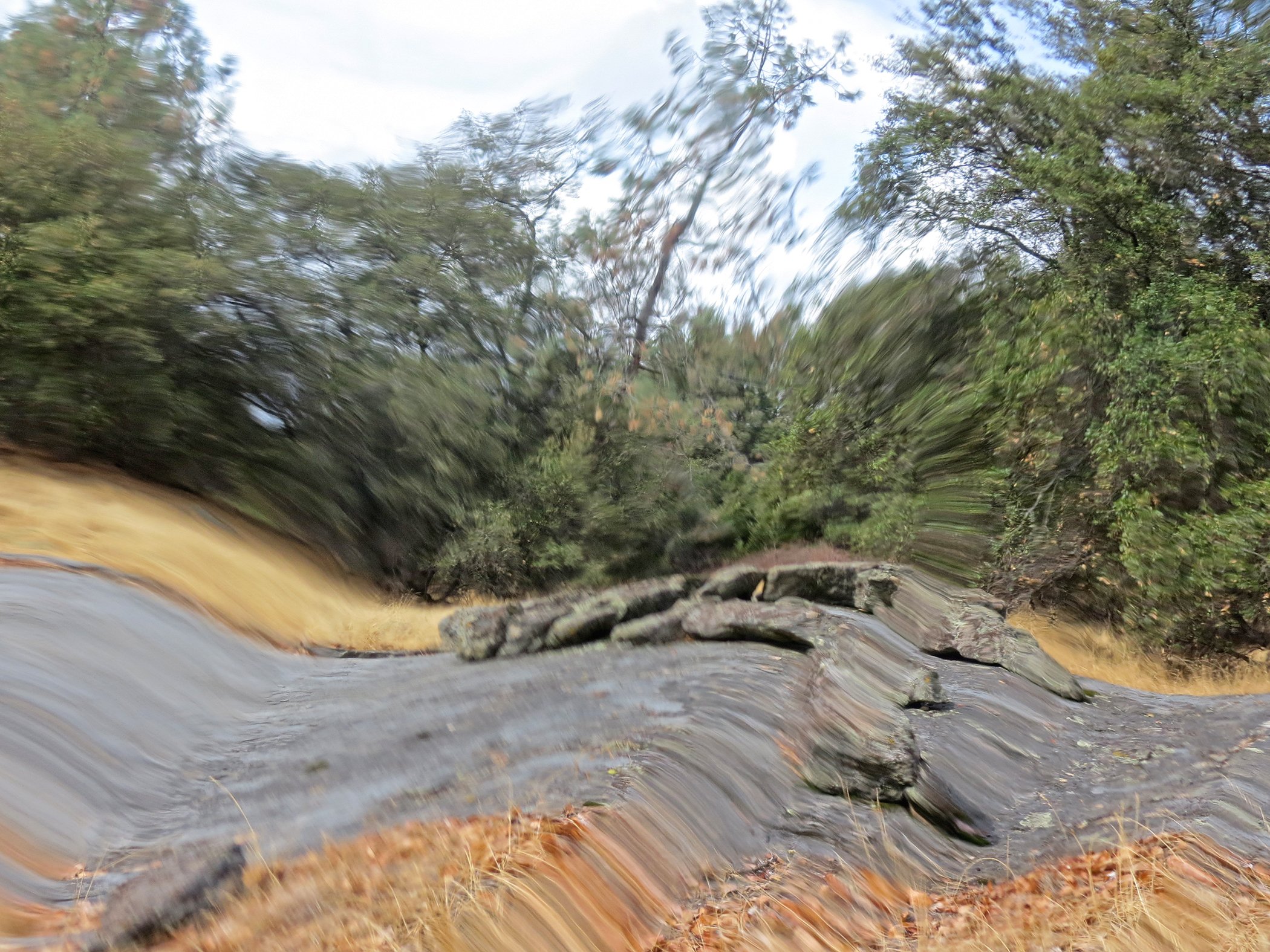 Distorted_7215 copy.jpg