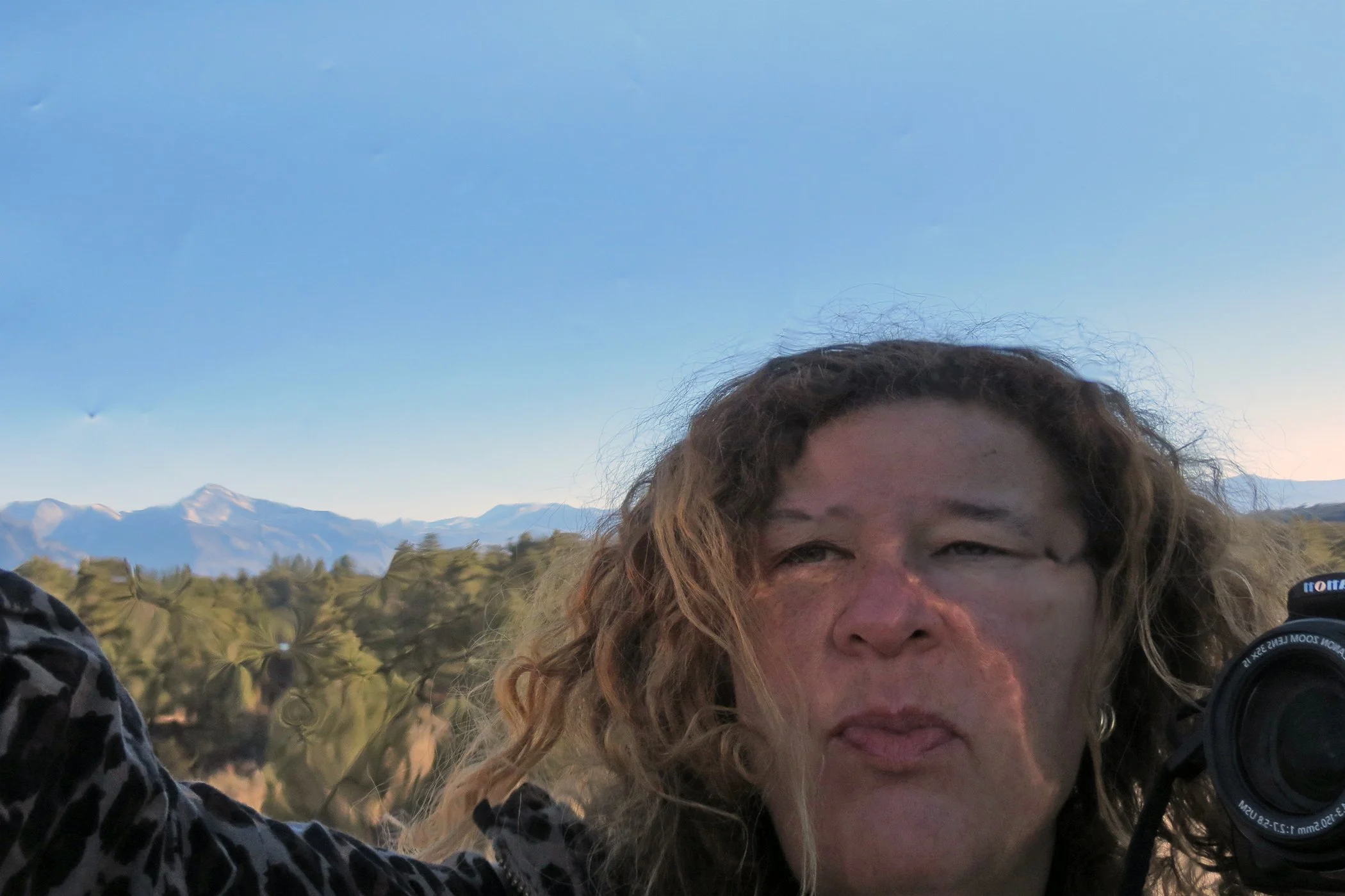 Distorted_4444 copy.jpg