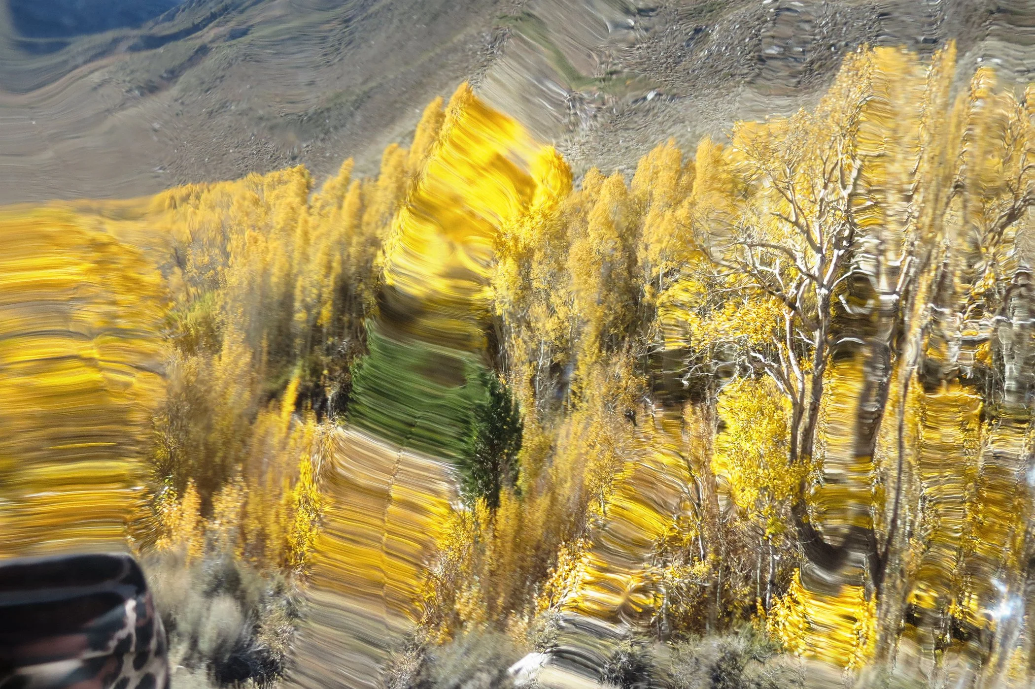 Distorted_4924 copy.jpg