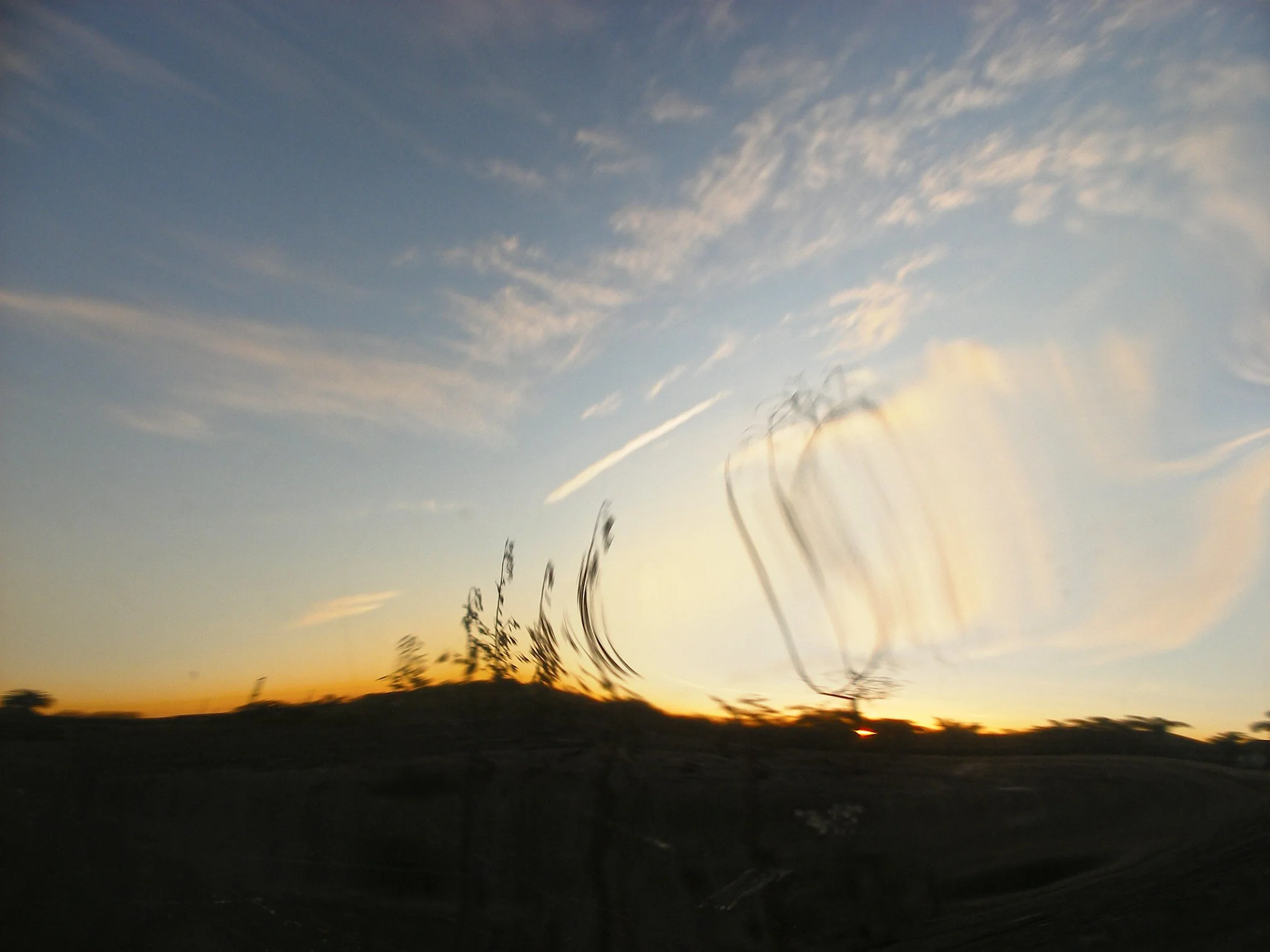 Distorted 9468 copy.jpg