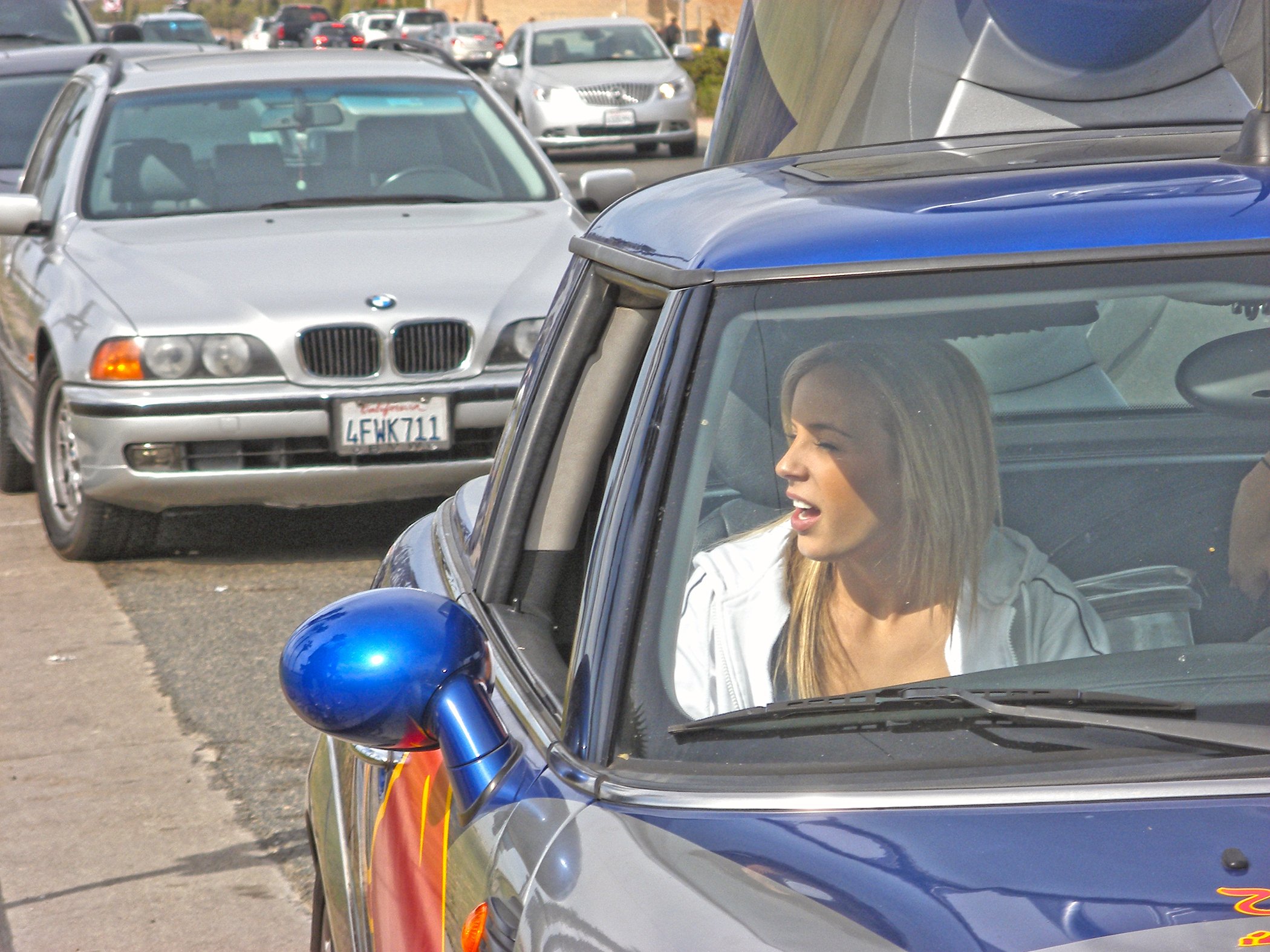 P in C Bull 0273 copy.jpg