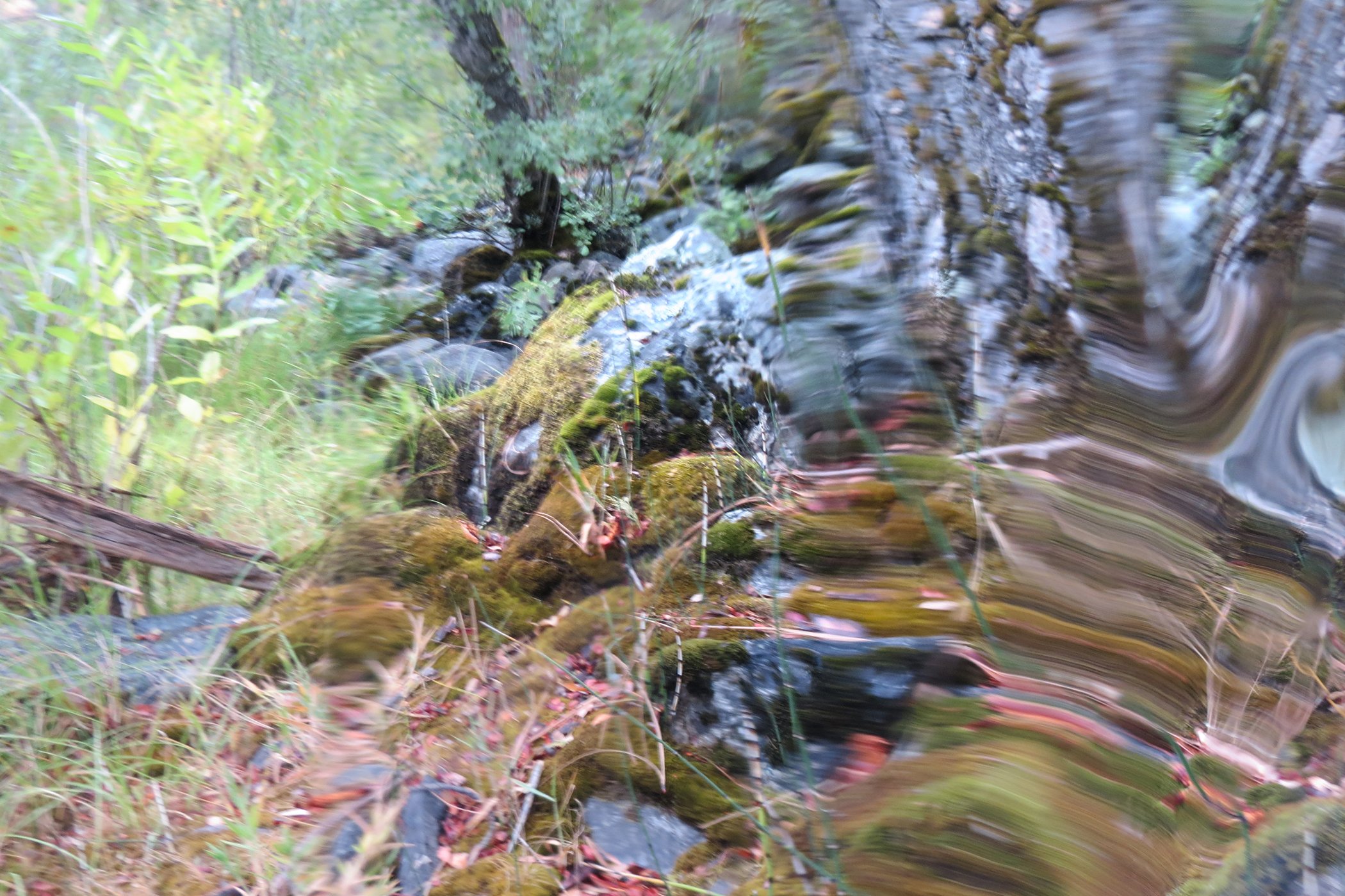 Distorted _6203 copy.jpg