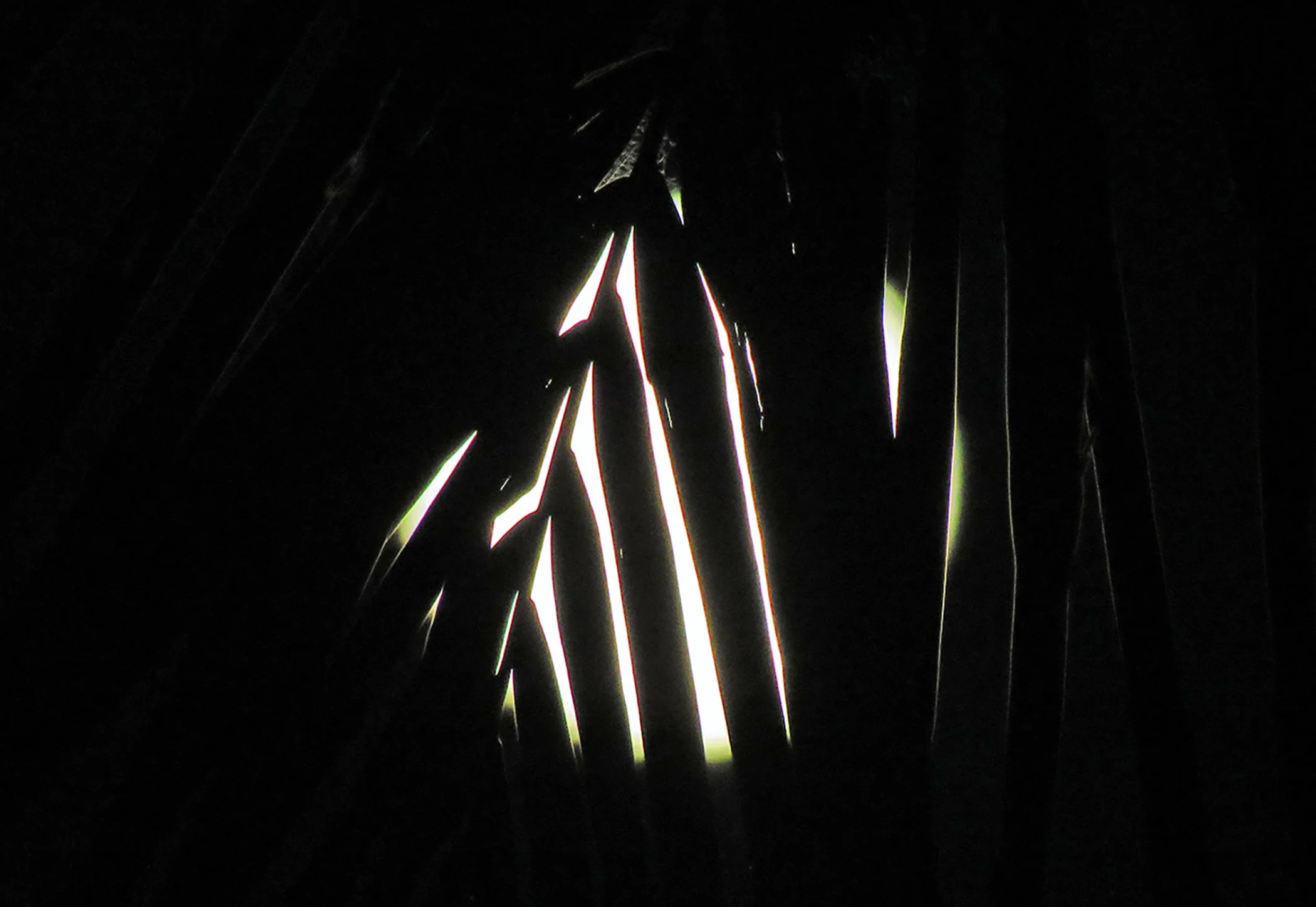 Zen Moon_7230 copy.jpg