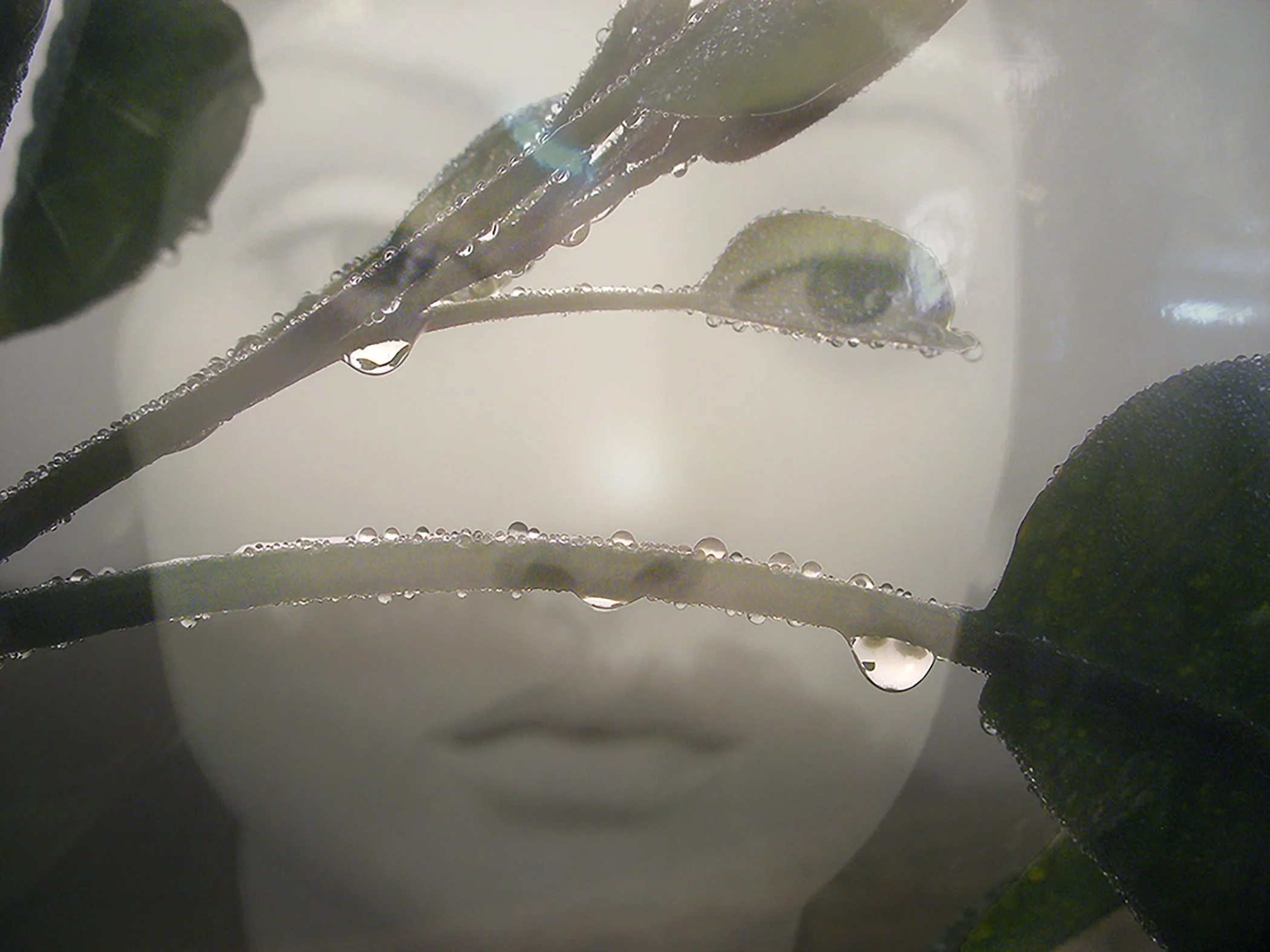 Aria Tree 1054 copy 2.jpg