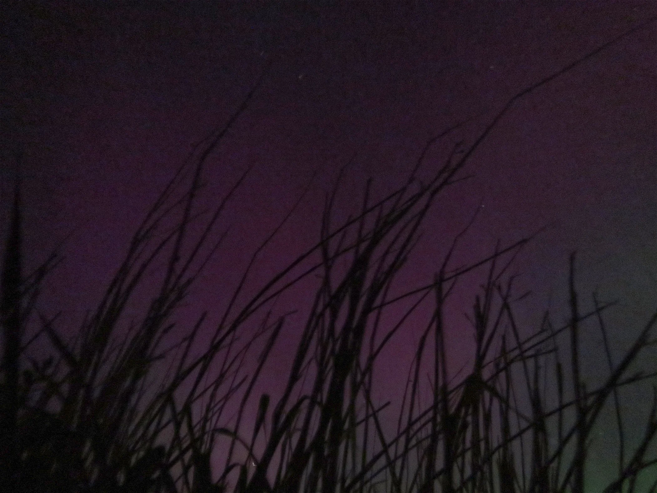 Aurora_2725 copy.jpg