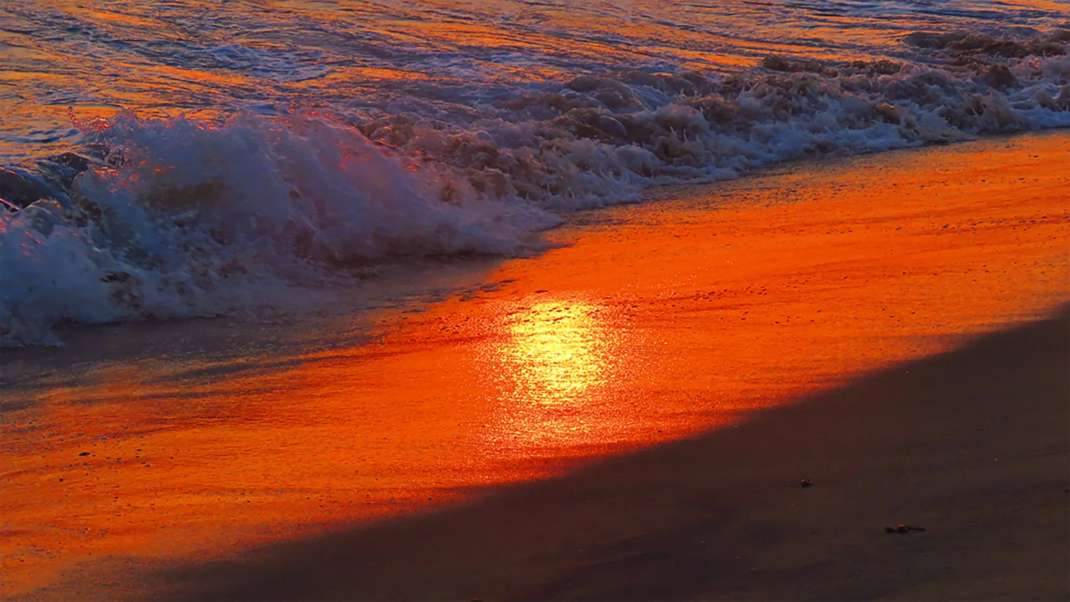 Heaven on Earth_8283 copy.jpg