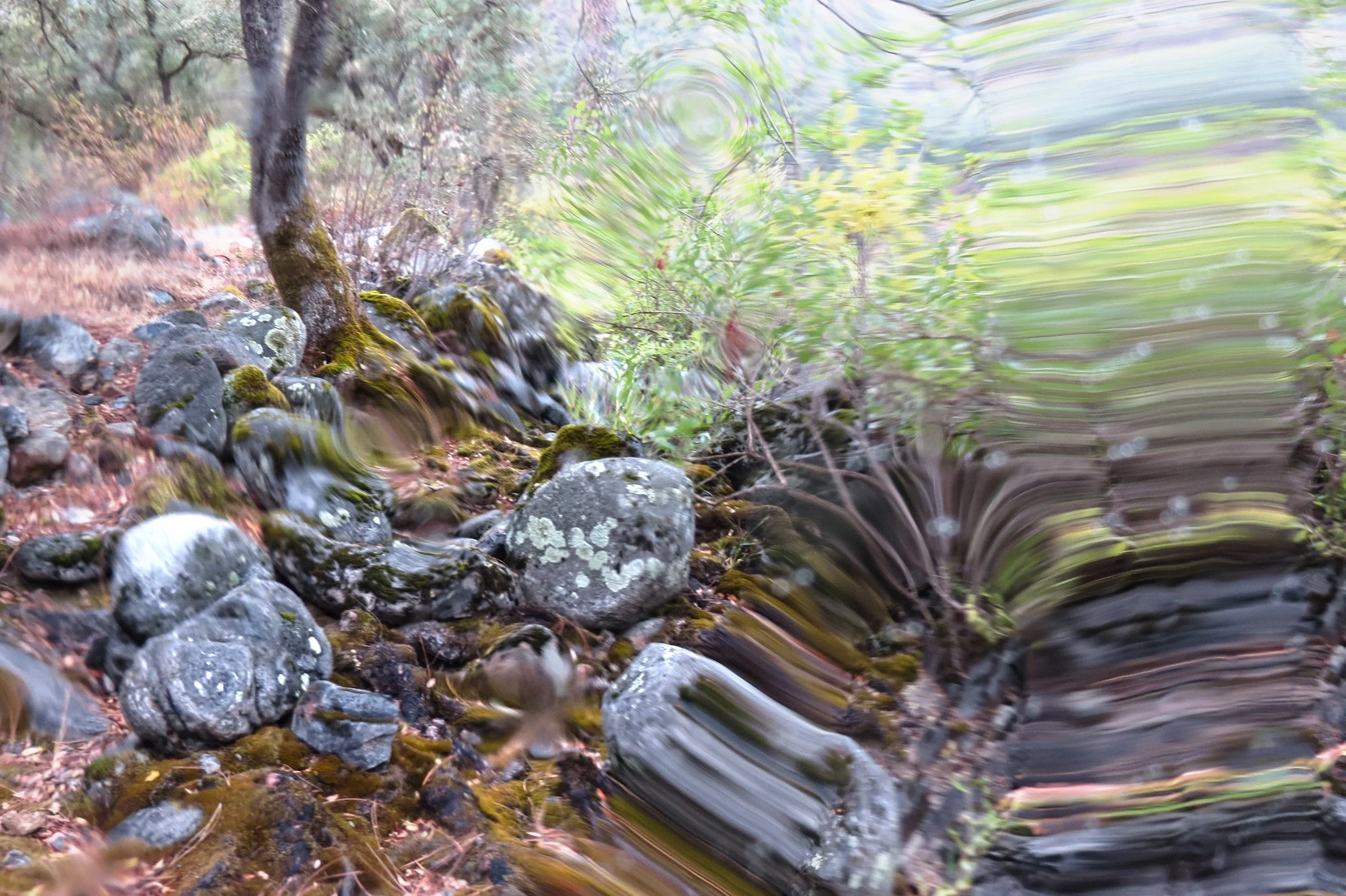 Distorted_6213 copy.jpg