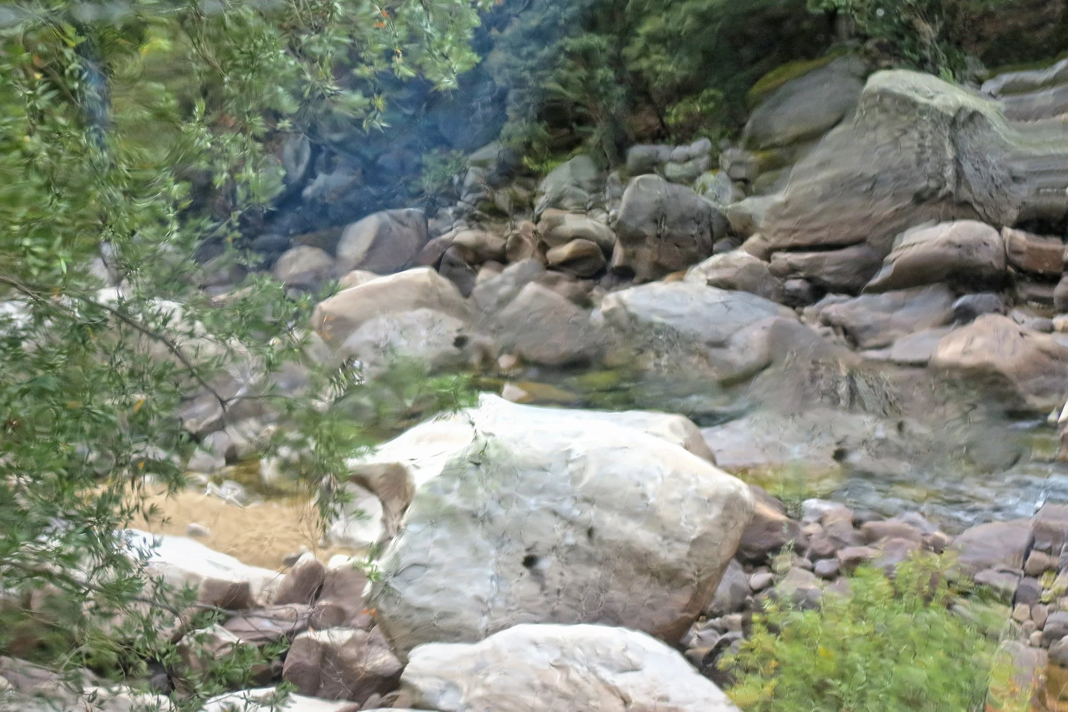 Distorted _6273 copy.jpg