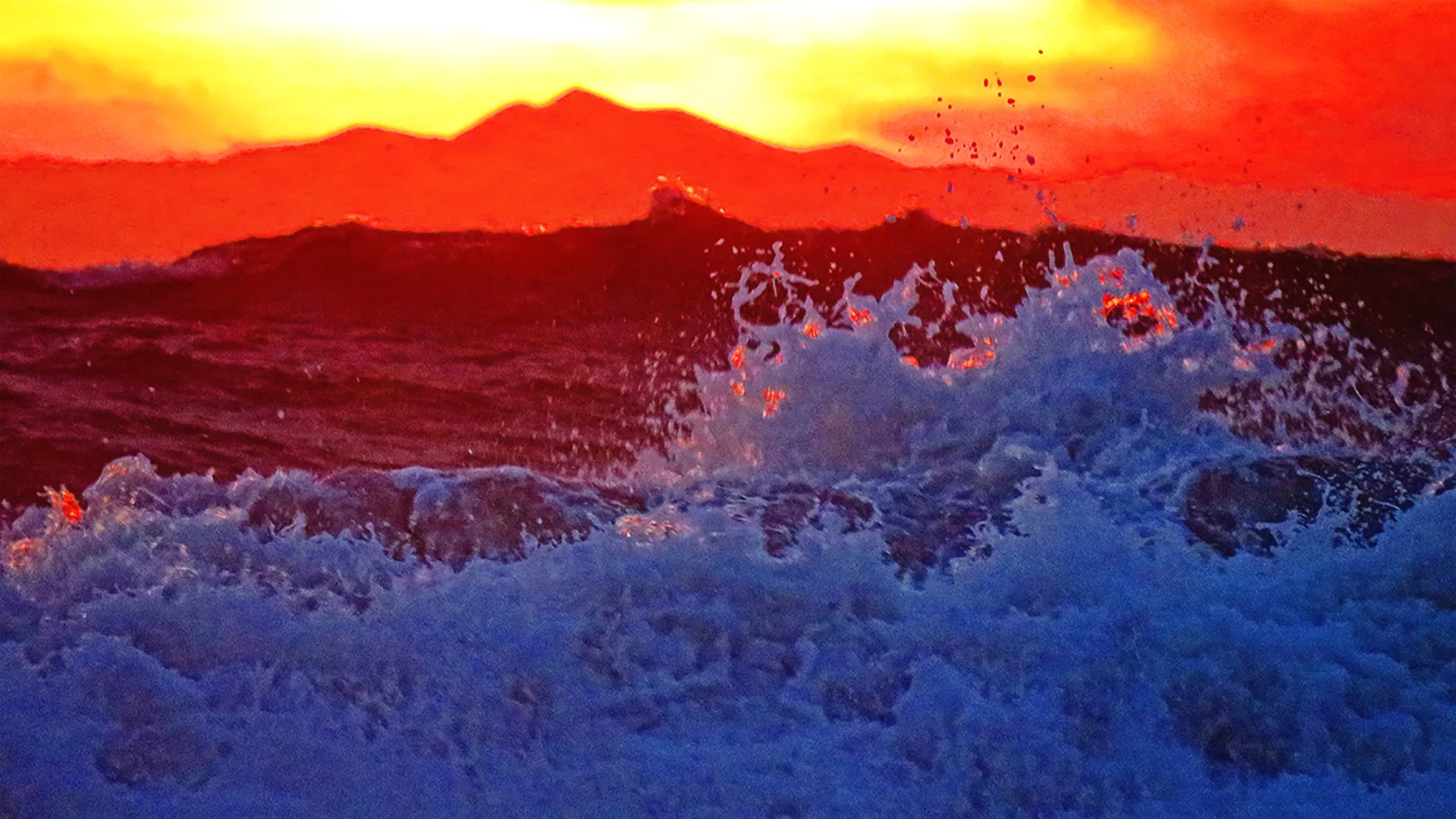 Wave catalina wave copy.jpg