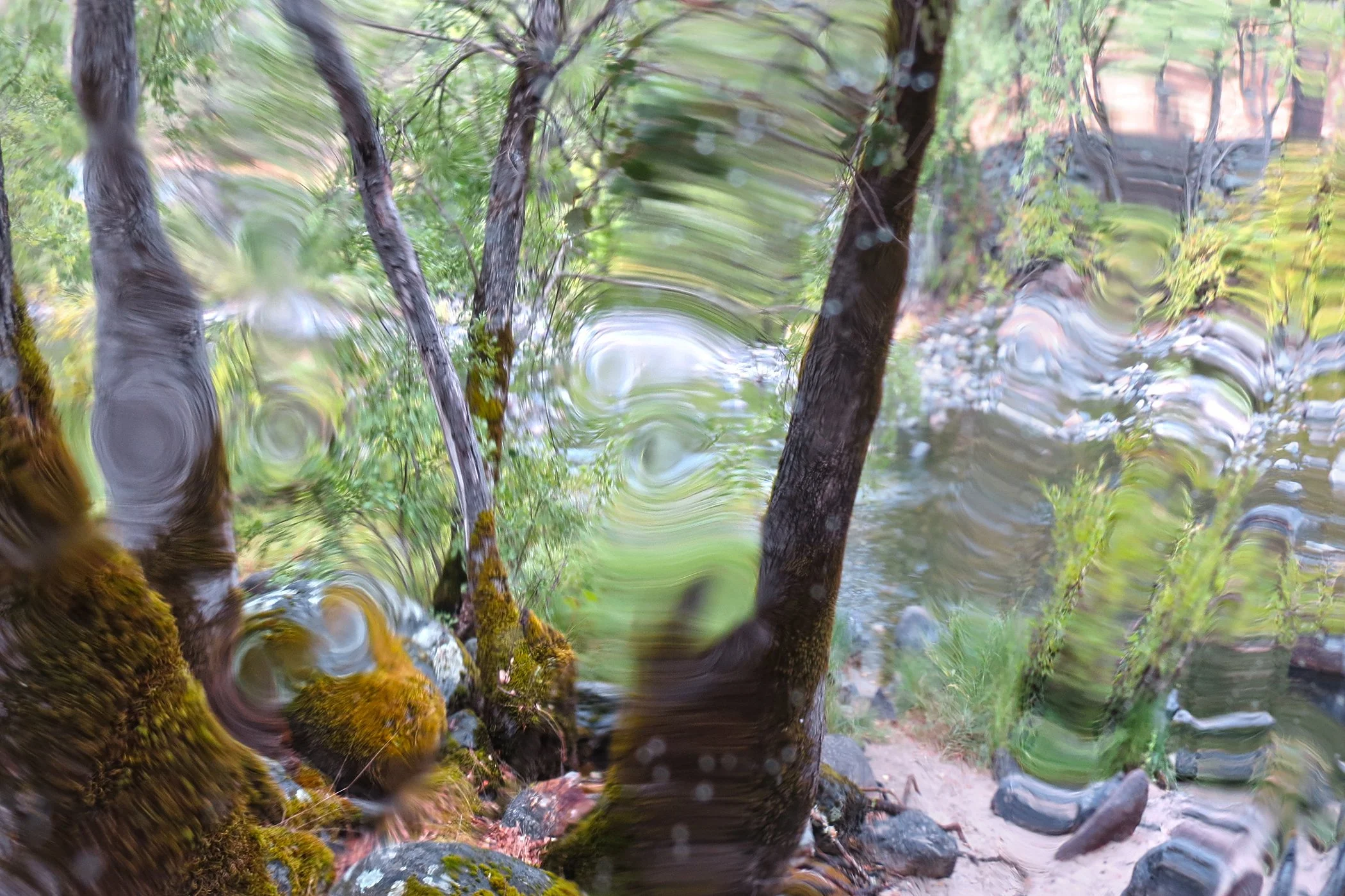 Distorted_6249 copy.jpg