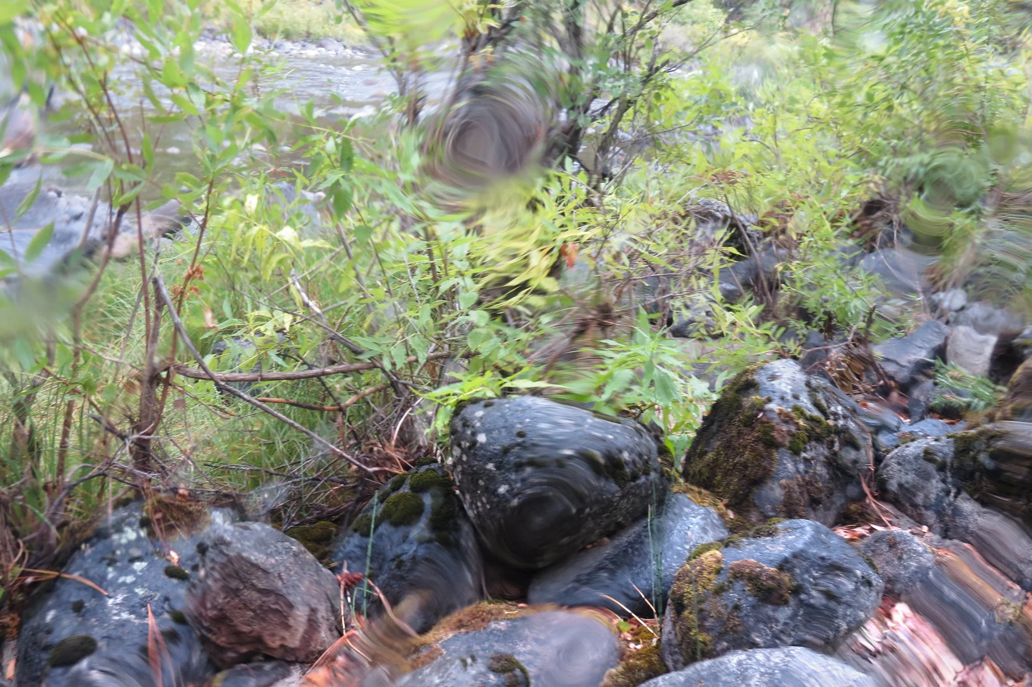 Distorted _6247 copy.jpg