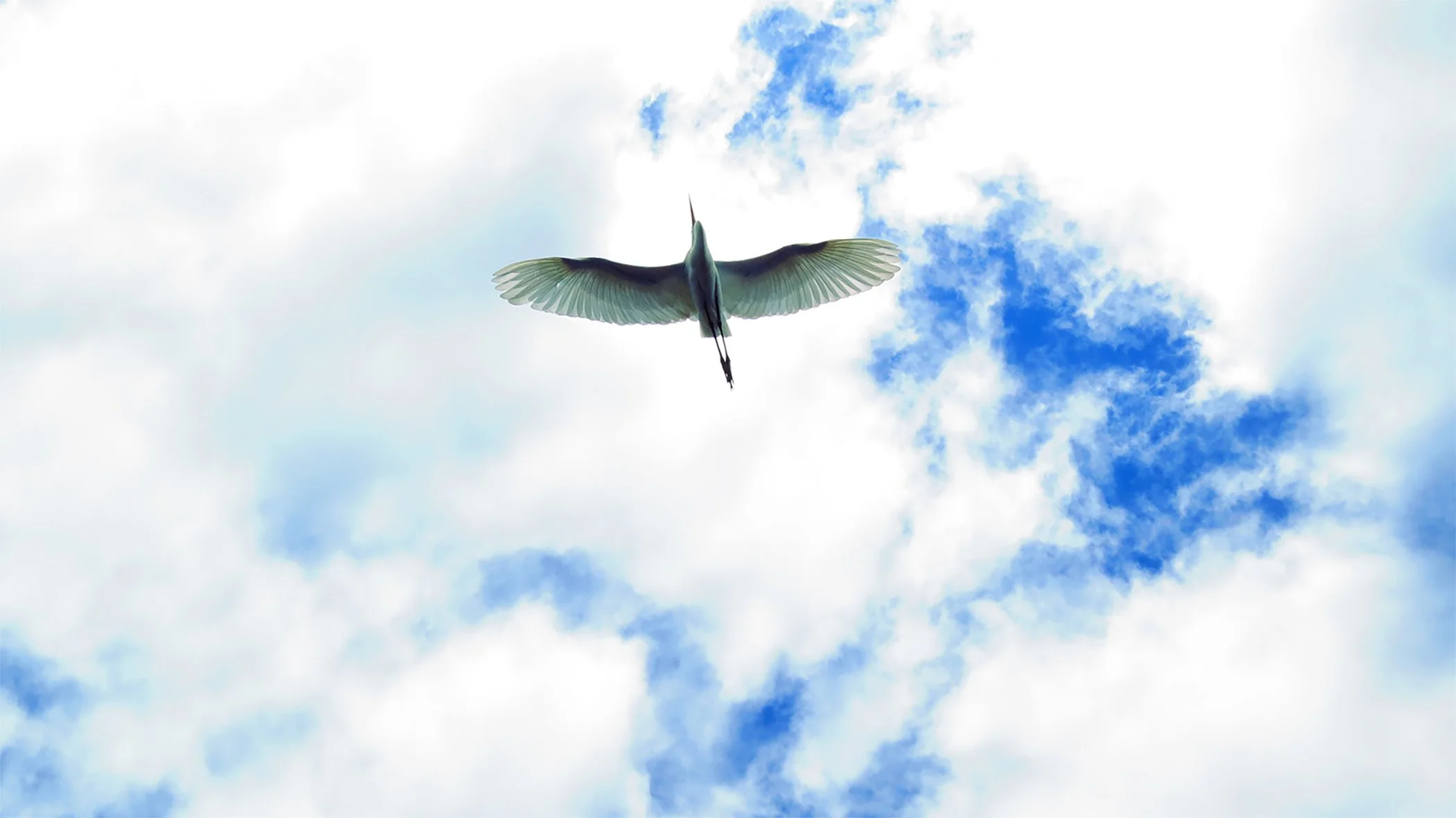 Flight_3994 copy.jpg