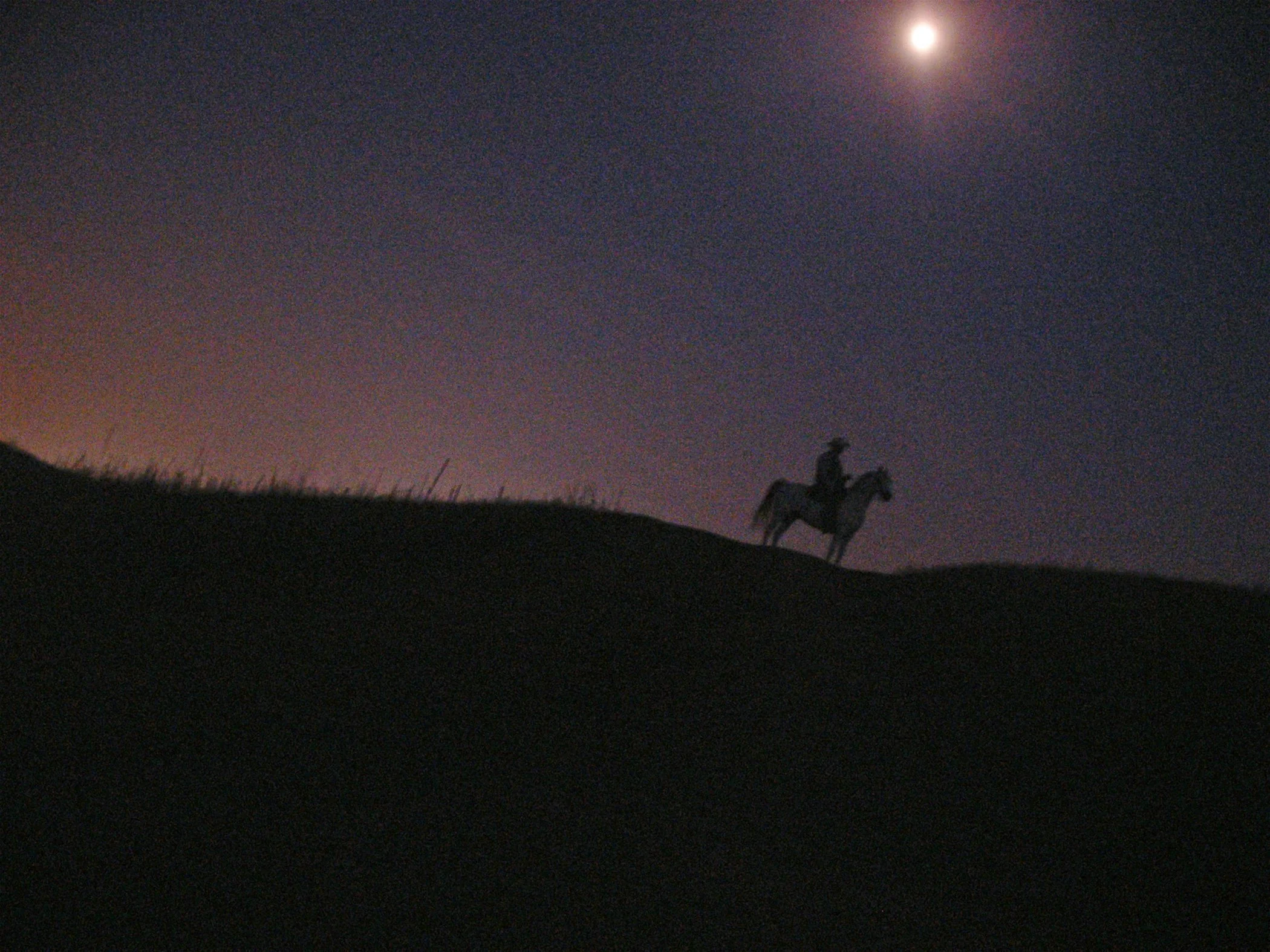 Bravado 6314 copy 2.jpg