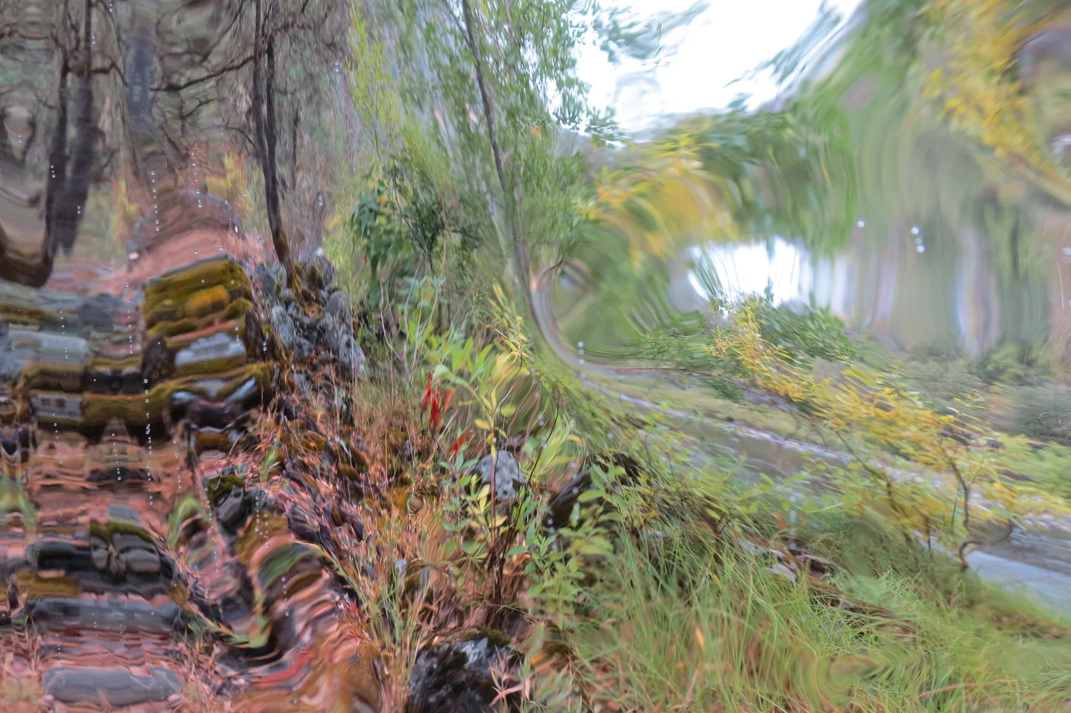 Distorted _6209 copy.jpg