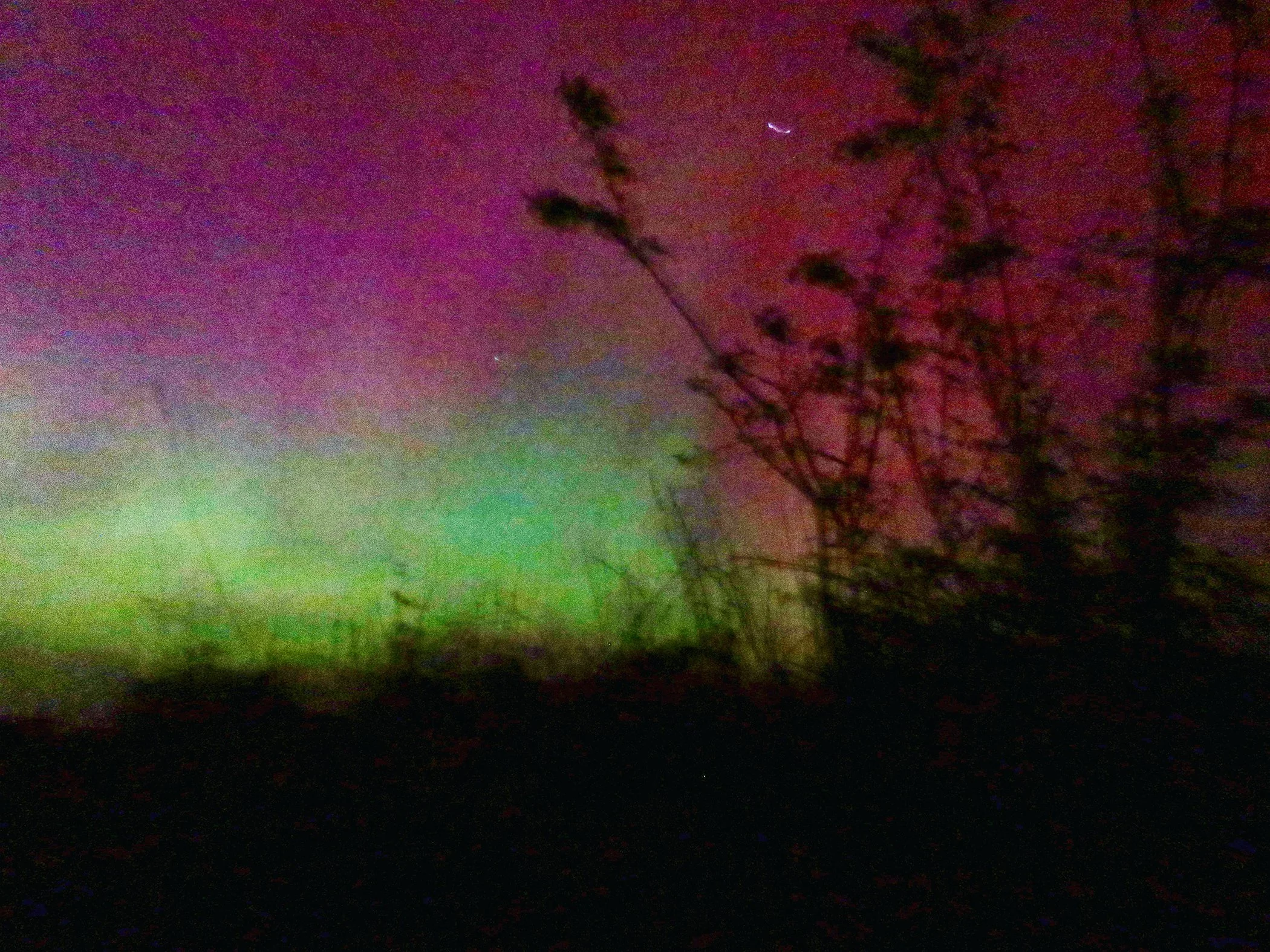 Aurora_2818 copy.jpg