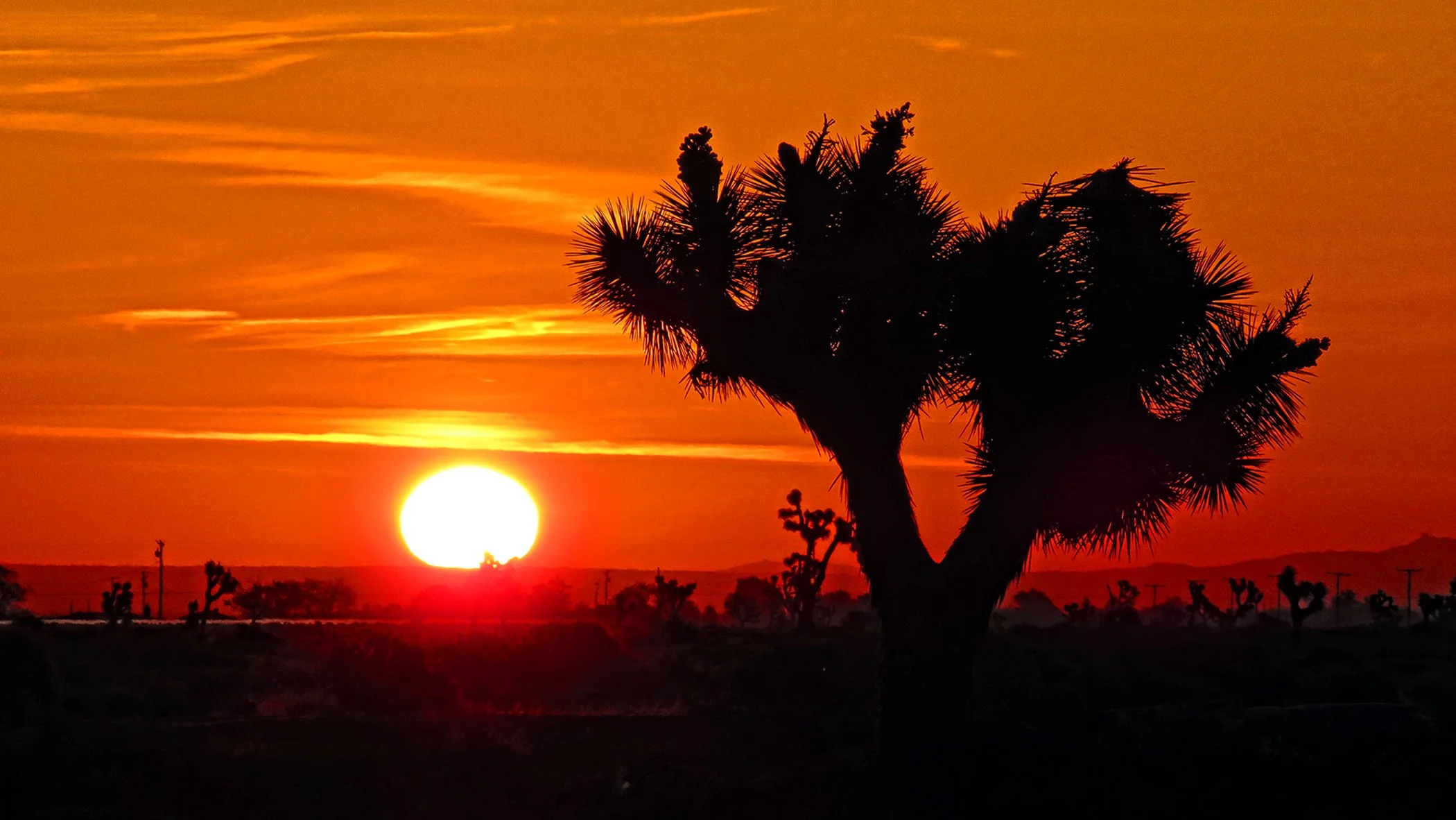 Sunrise_9816 copy.jpg