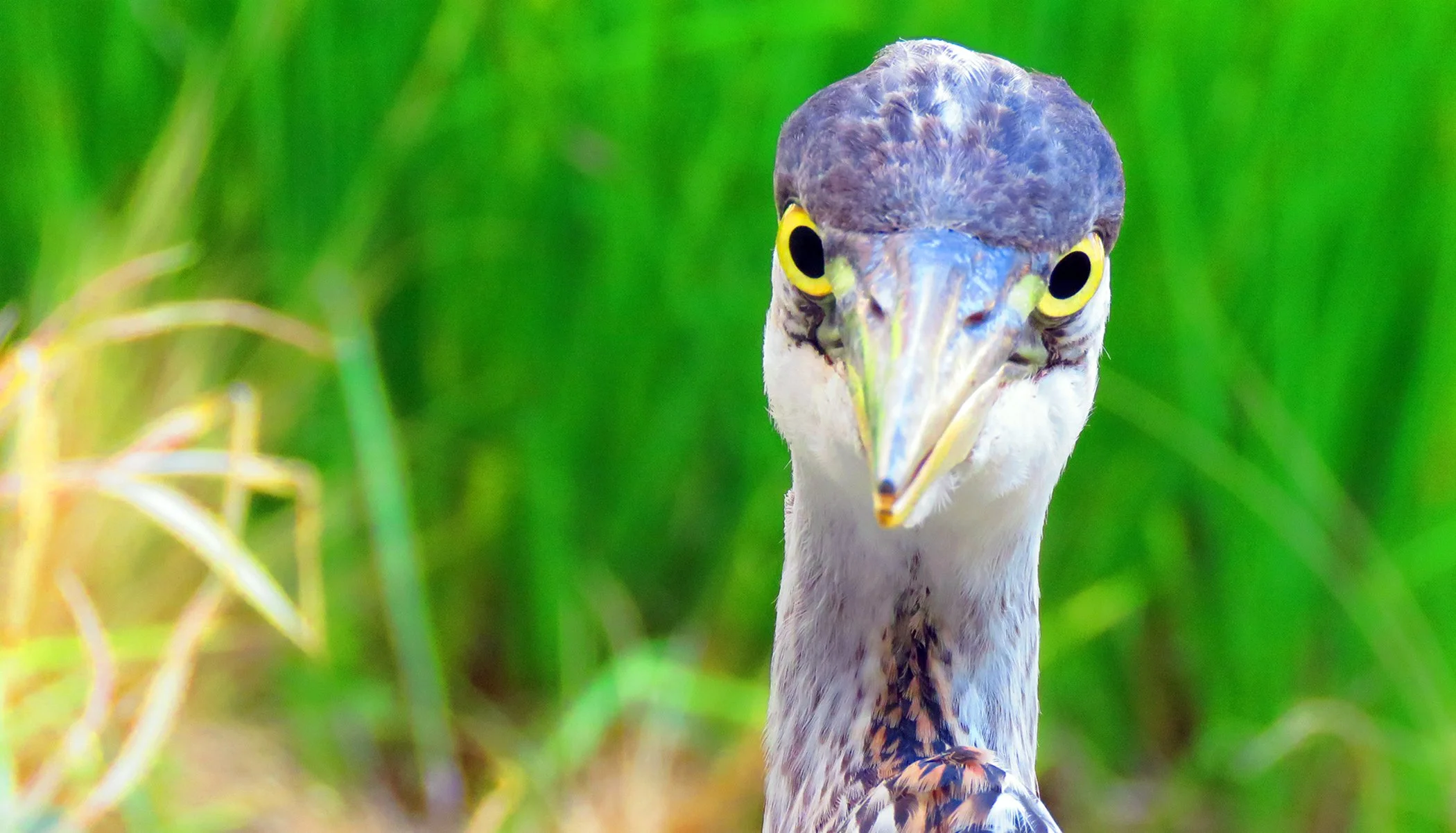 Look of love_1251 copy.jpg