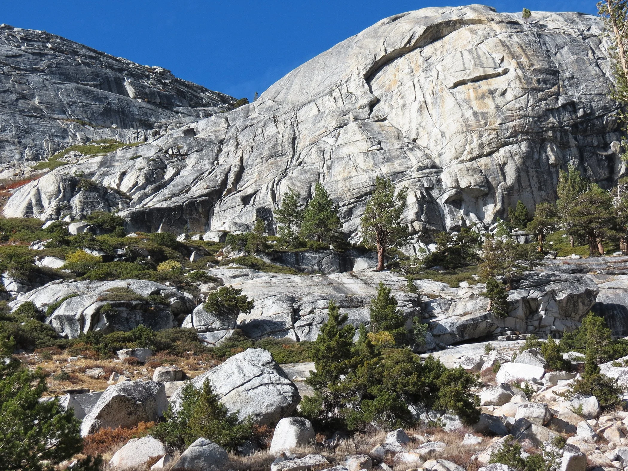 Distorted_5641 copy.jpg