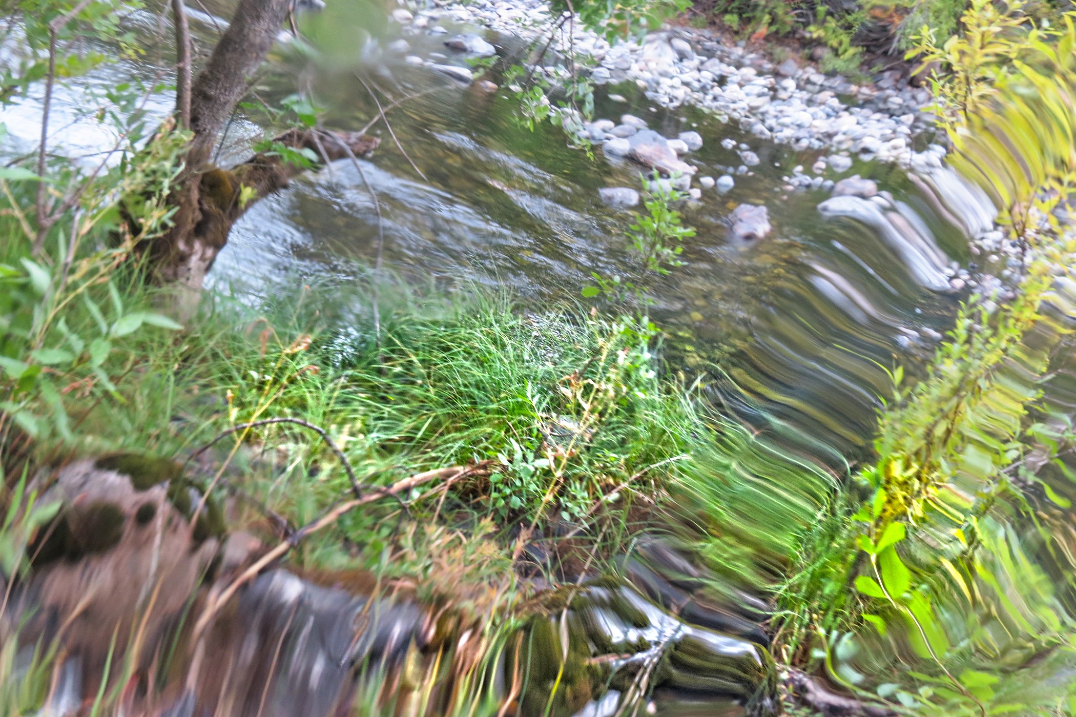 Distorted _6195 copy.jpg