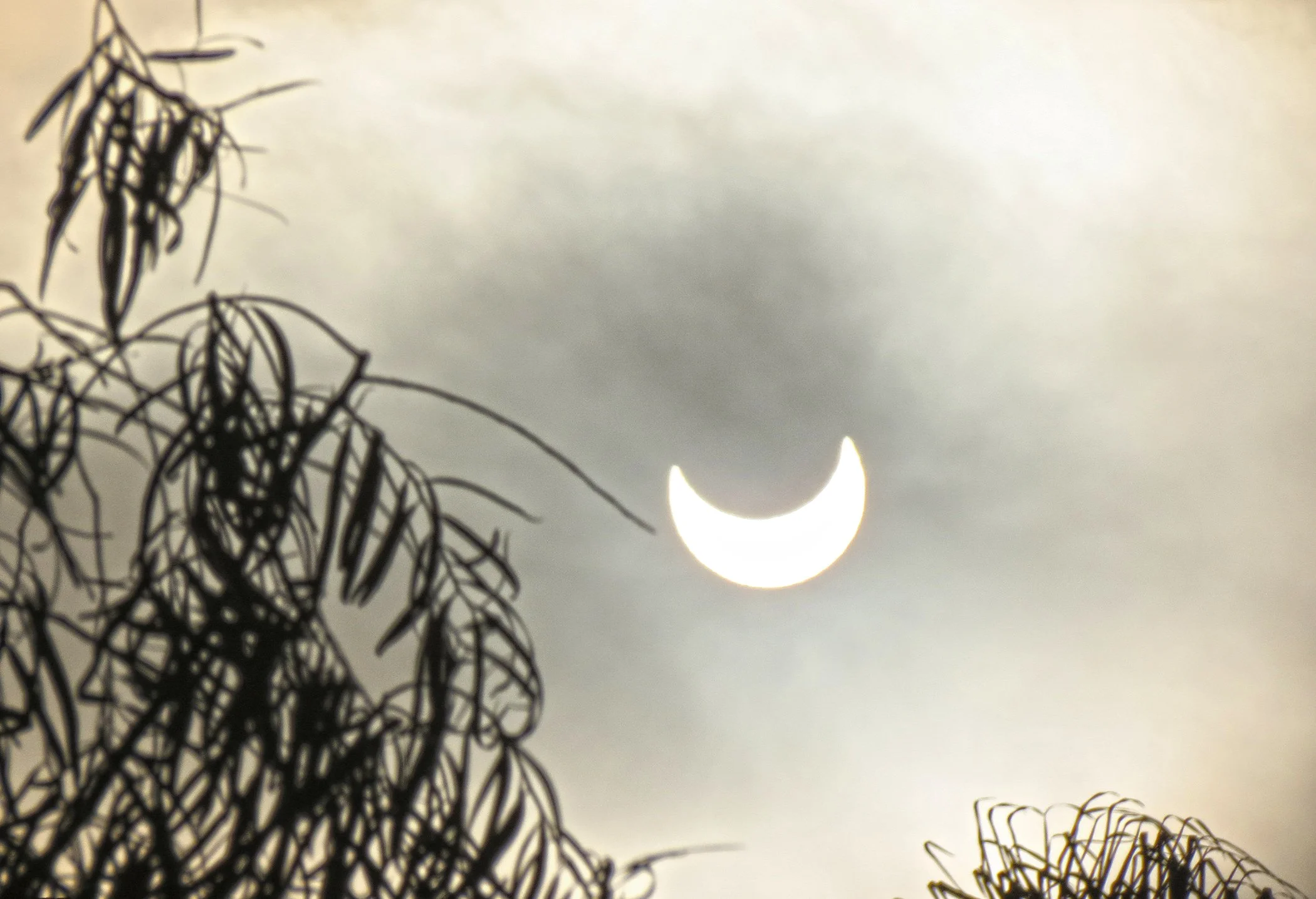 Solar Eclipse_4269 copy.jpg