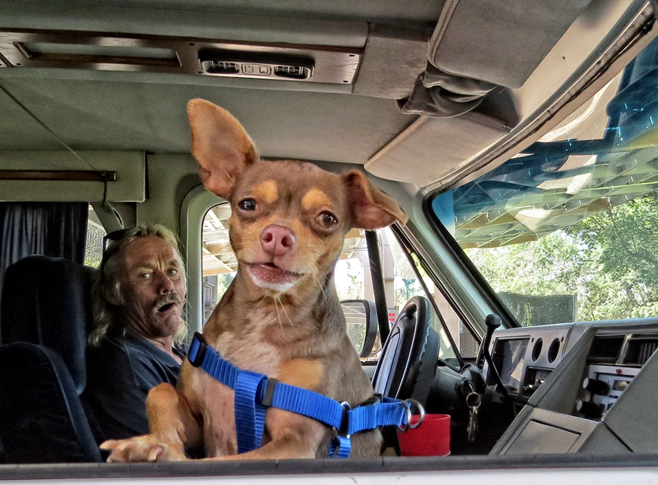 Viking_0457 copy 2.jpg